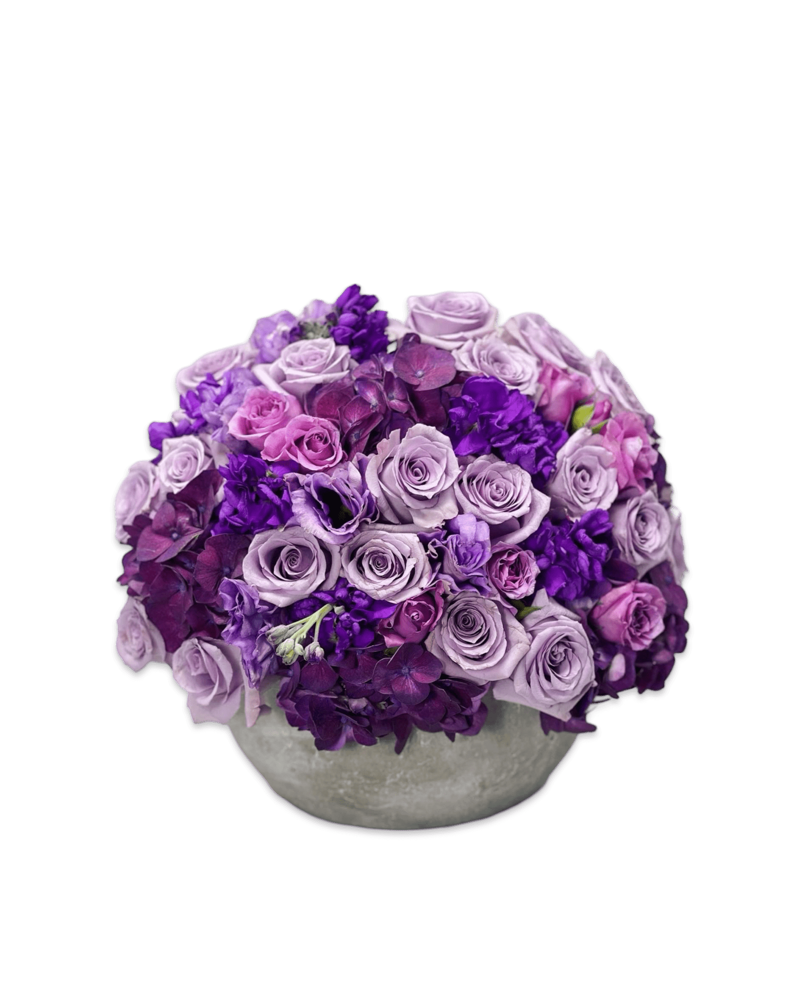 Lilac Dream - Petal Relations LA