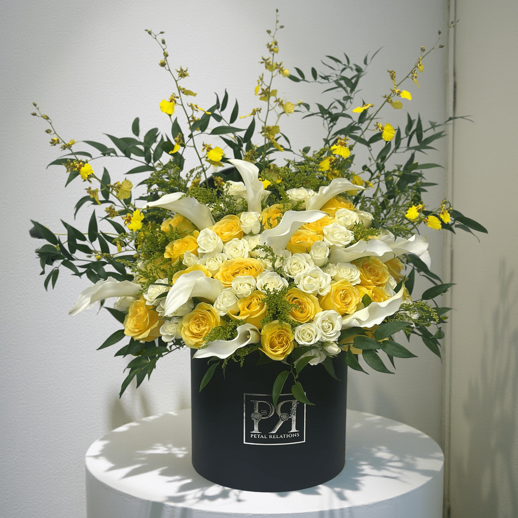 Lily of the Sun - Petal Relations LA