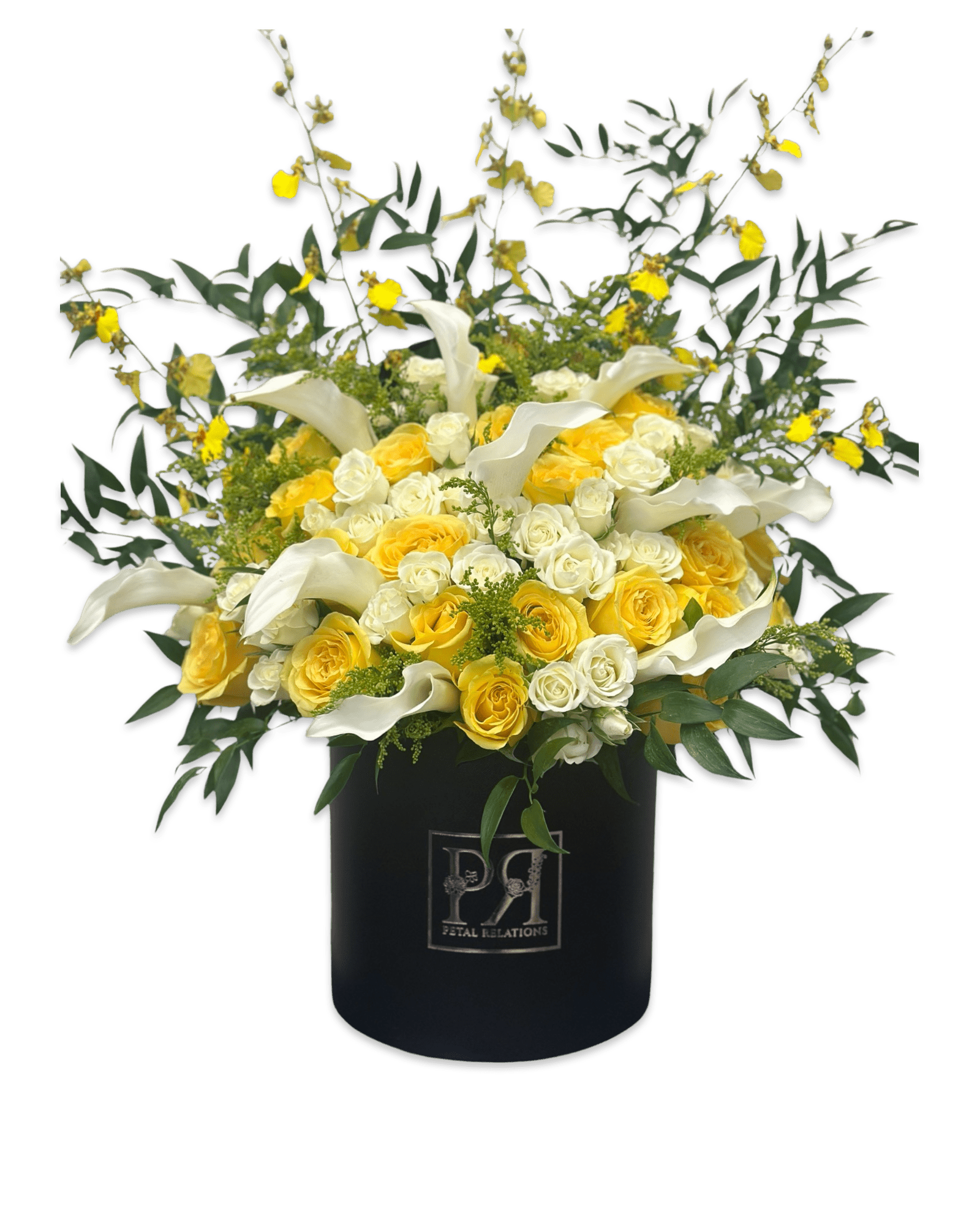 Lily of the Sun - Petal Relations LA