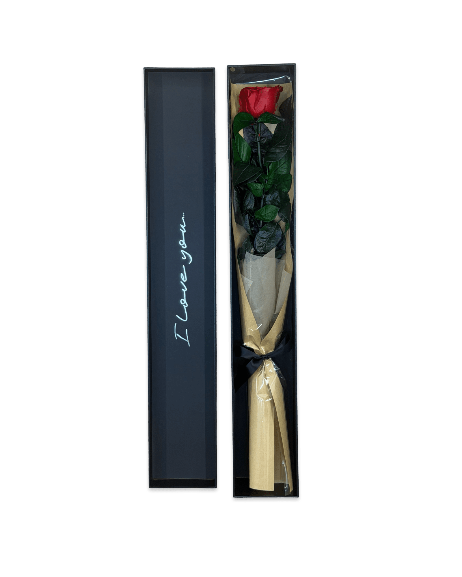 Long Stem Forever Red Rose - Petal Relations LA