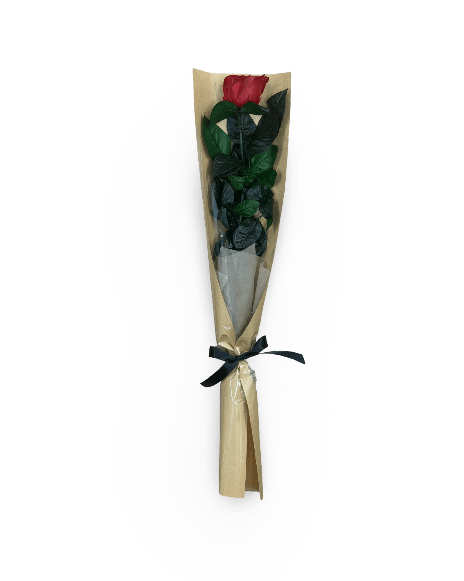 Long Stem Forever Red Rose - Petal Relations LA