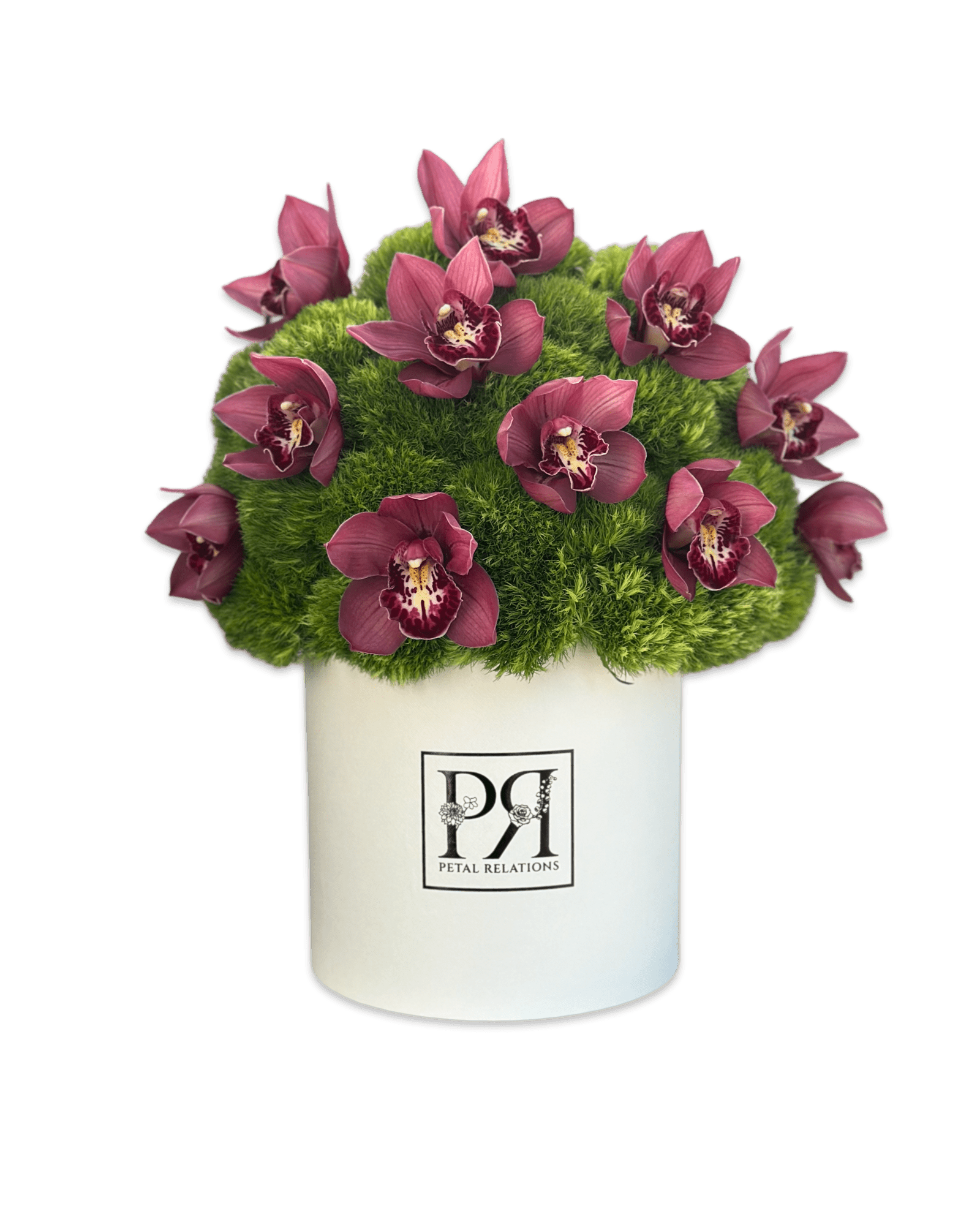 Orchid Field in a Box - Petal Relations LA