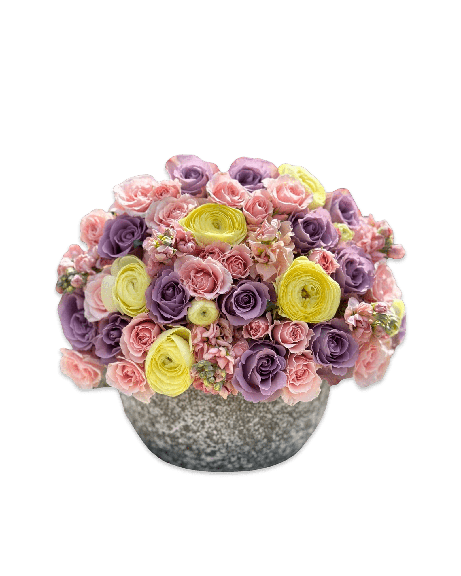Pastel Baby - Petal Relations