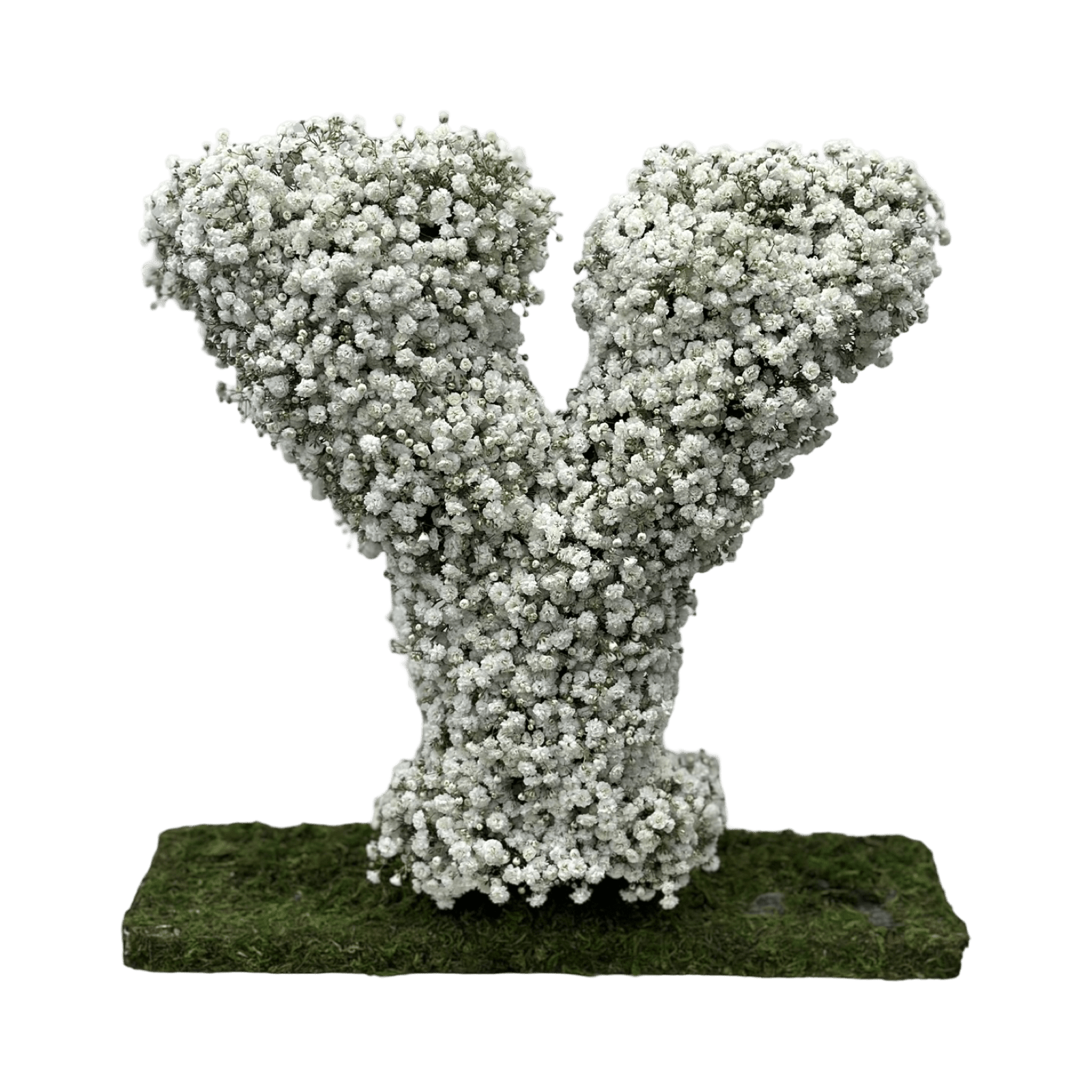 PR Standing Letter: Baby's Breath - Petal Relations LA