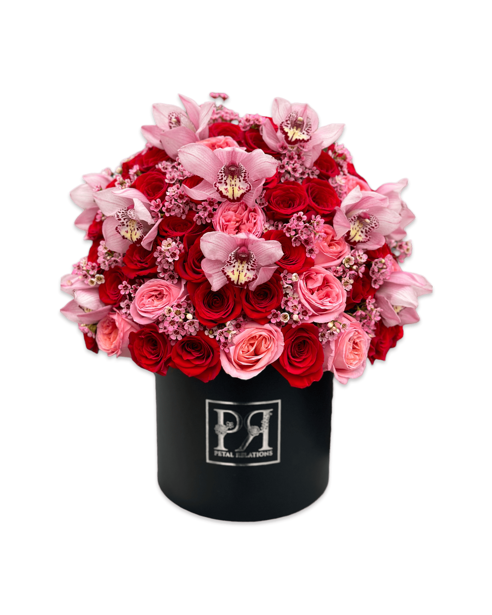 Pretty Girl - Petal Relations LA