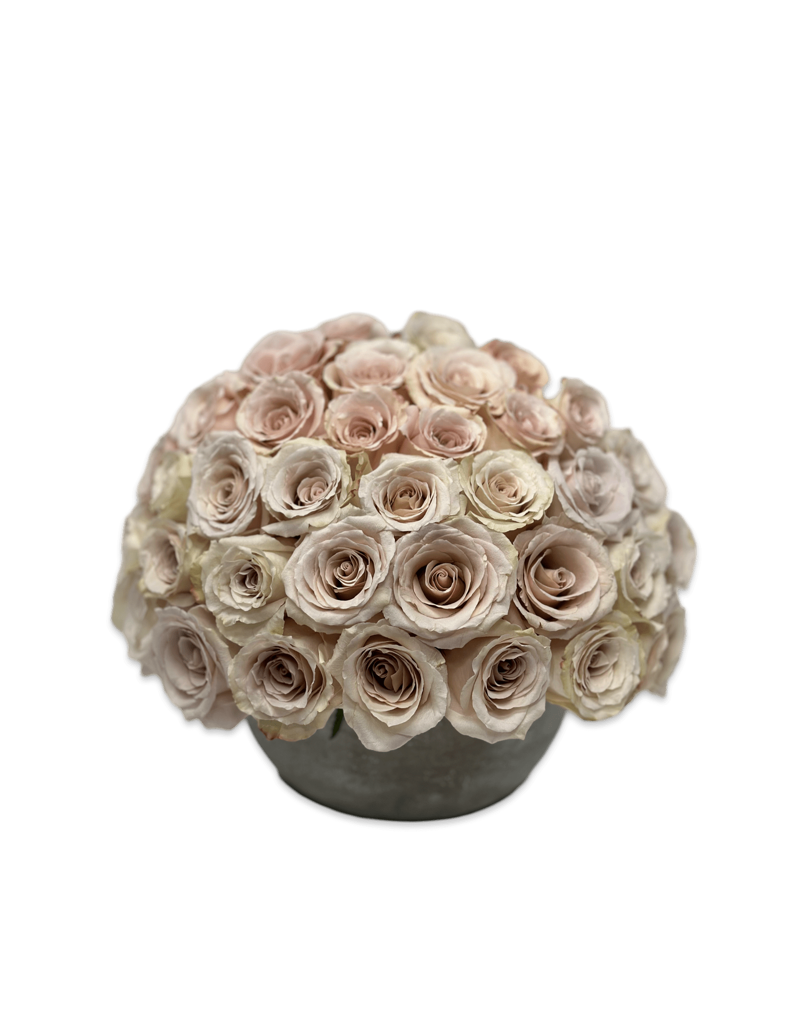 Quicksand Simply Rose - Petal Relations LA