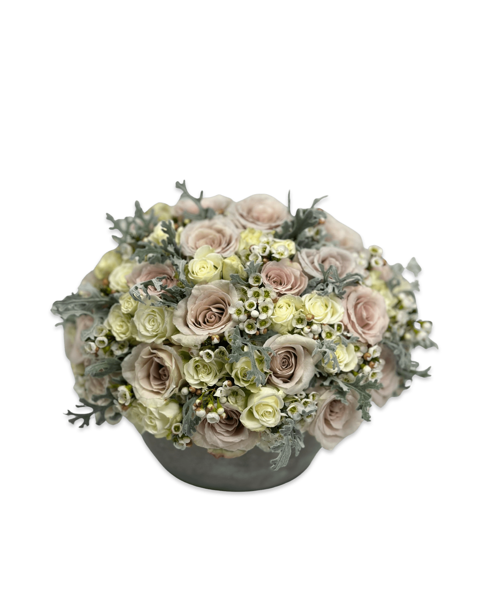 Quicksand Wonderland - Petal Relations LA