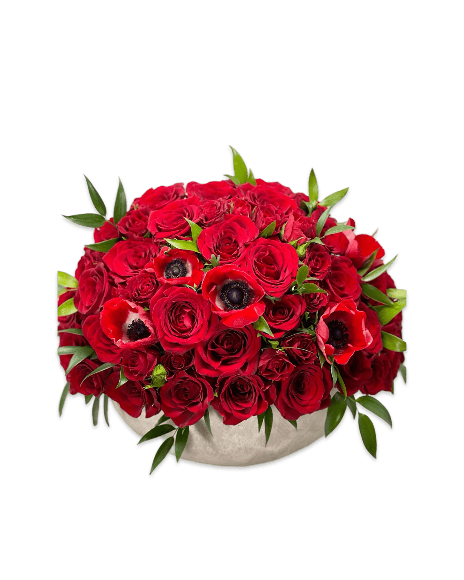 Red Eye - Petal Relations