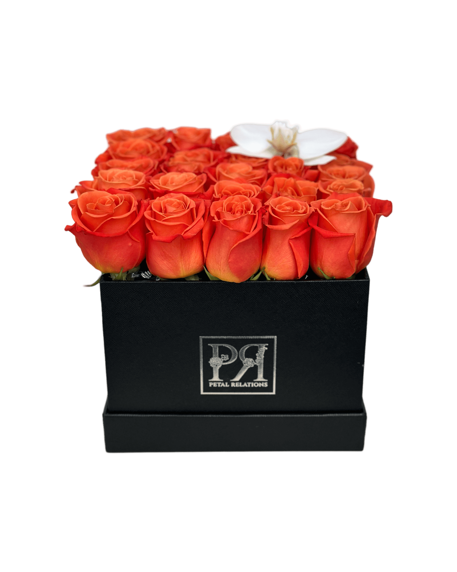 Romance in a Box with a Phalaenopsis Orchid - Petal Relations LA