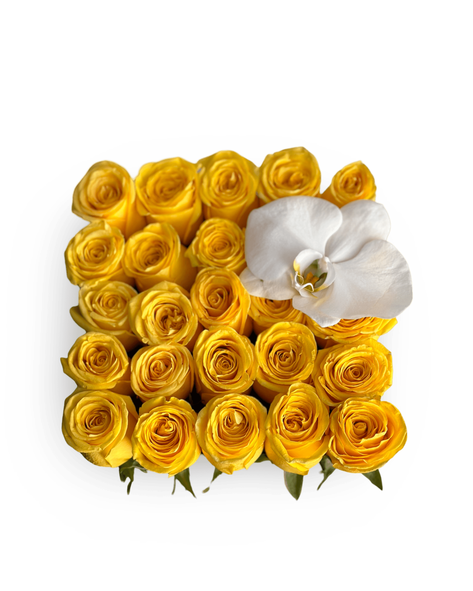 Romance in a Box with a Phalaenopsis Orchid - Petal Relations LA