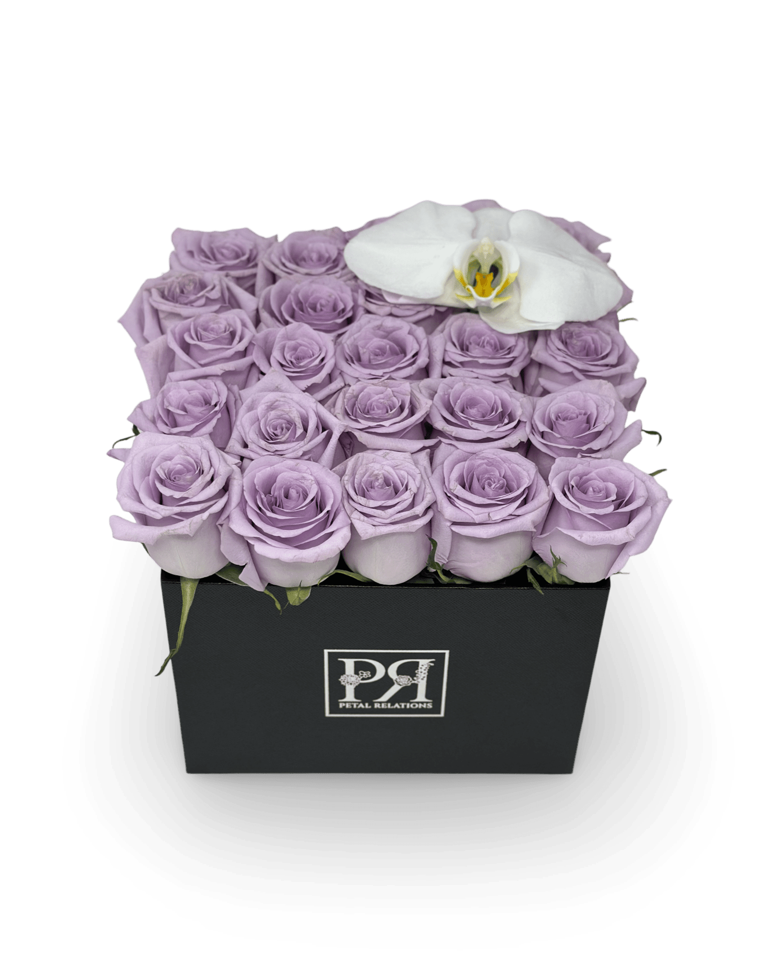 Romance in a Box with a Phalaenopsis Orchid - Petal Relations LA