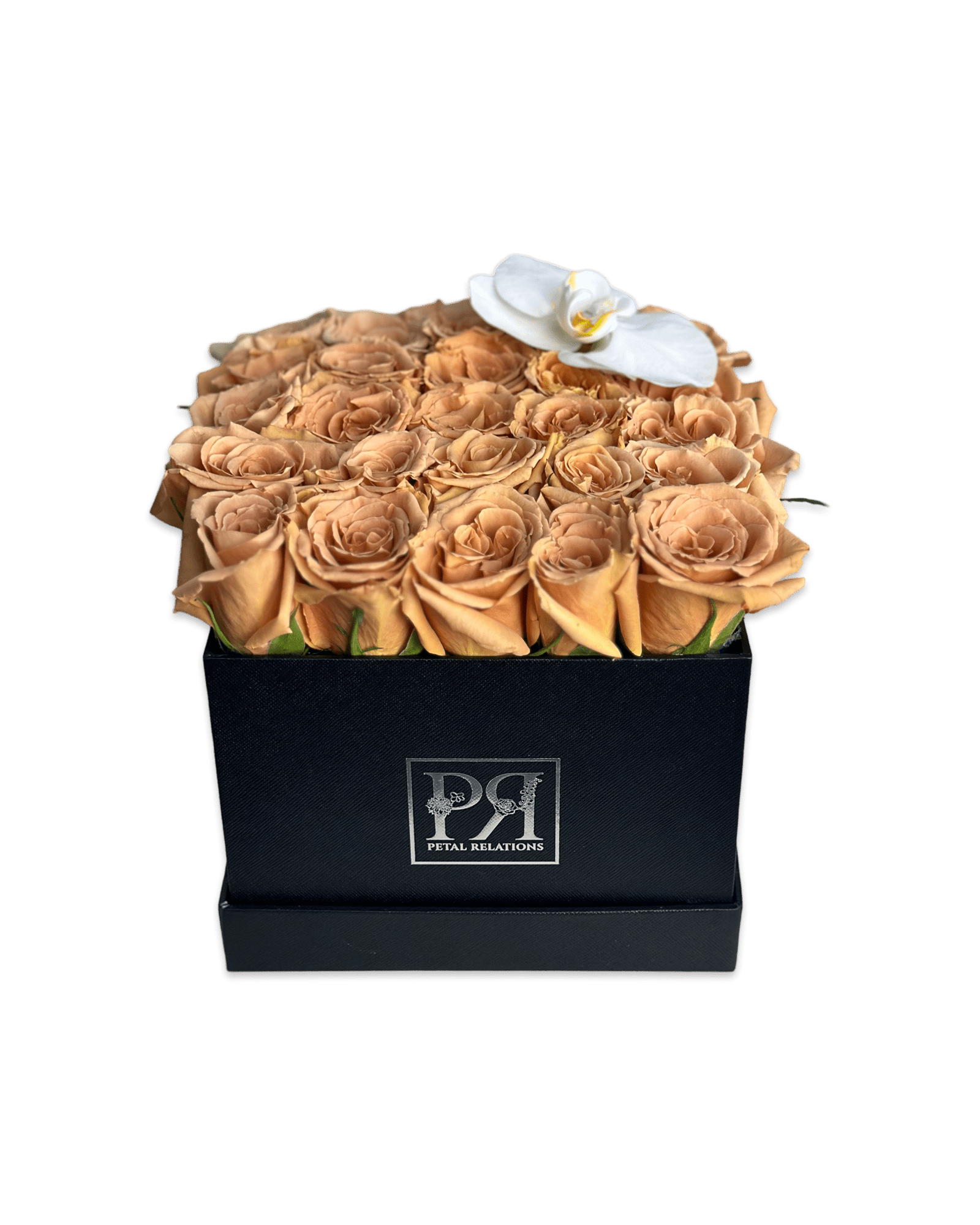 Romance in a Box with a Phalaenopsis Orchid - Petal Relations LA