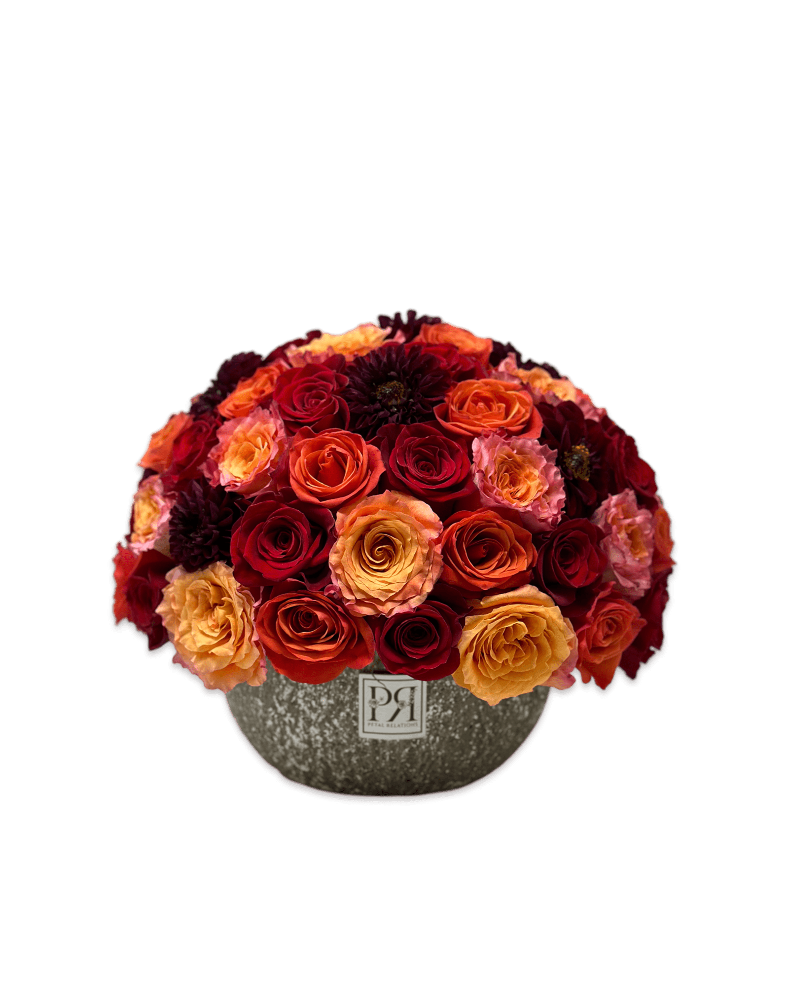 Scorpio Baby - Petal Relations LA