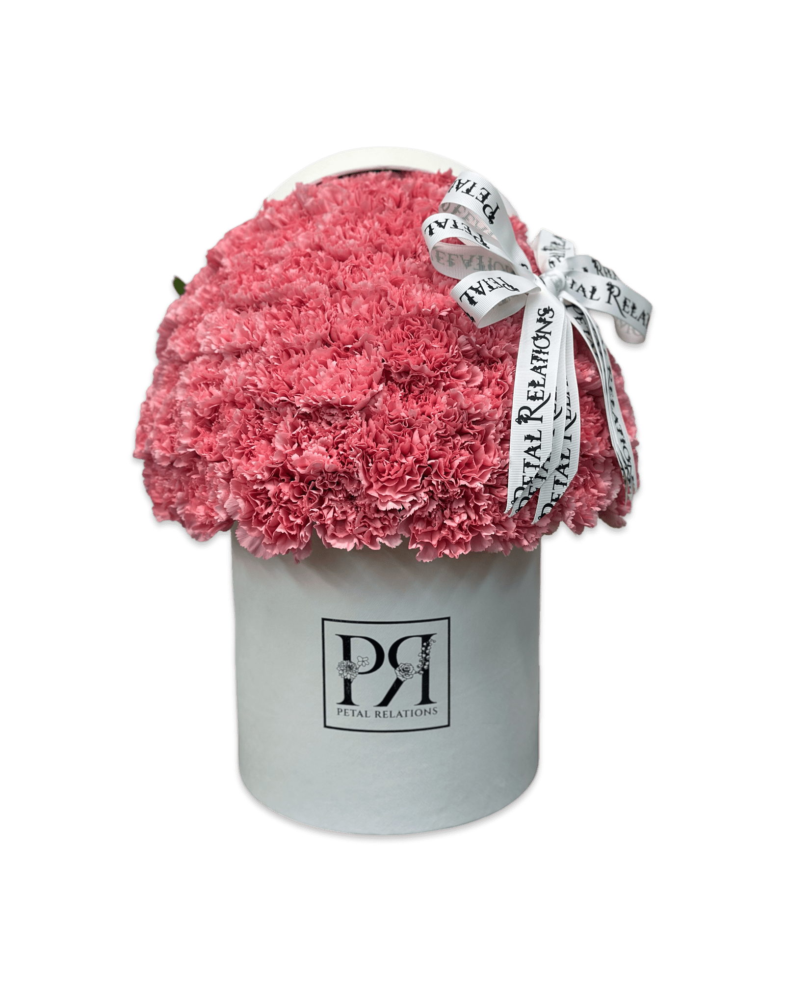 Simply Carnations in a Box - Petal Relations LA