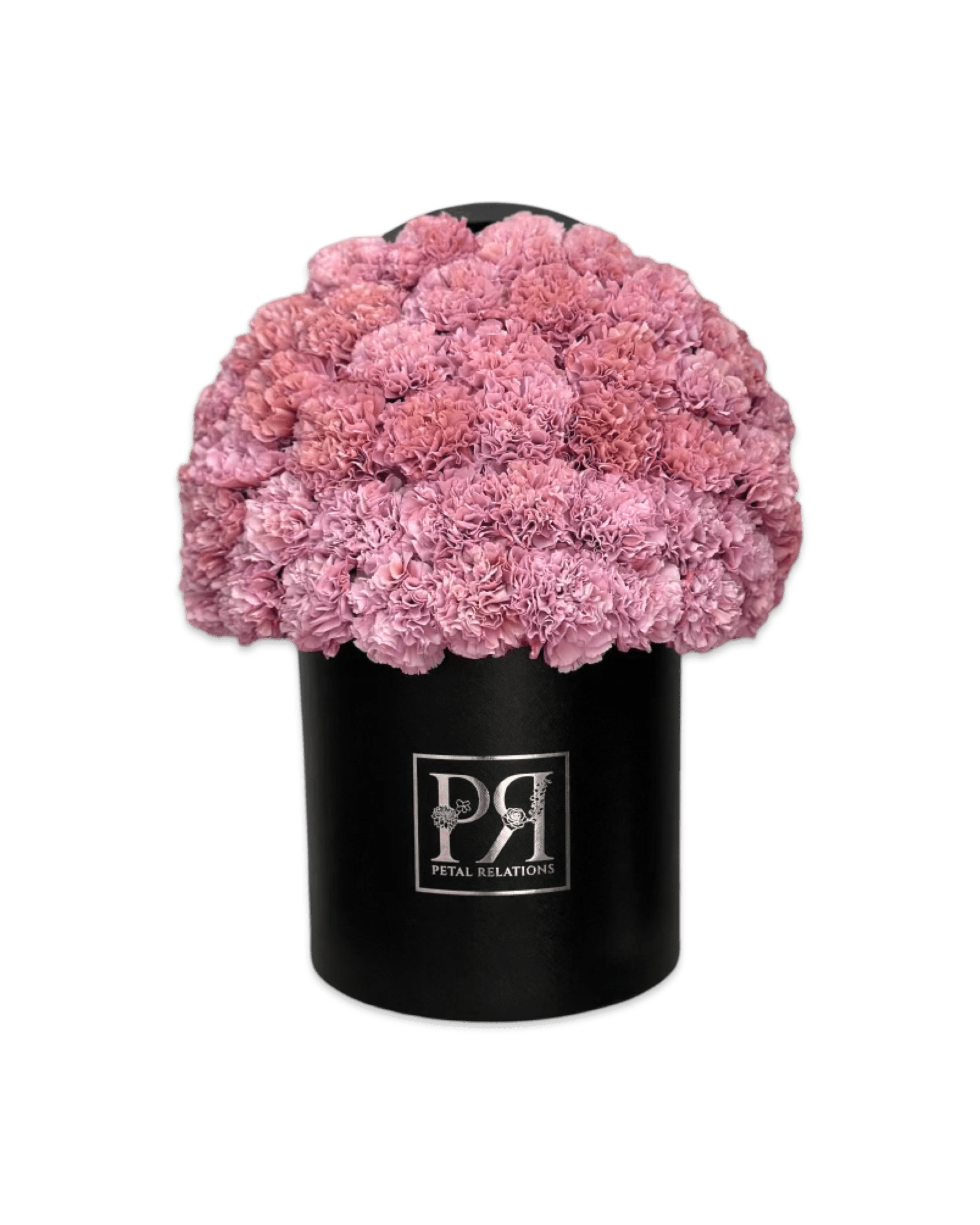 Simply Carnations in a Box - Petal Relations LA