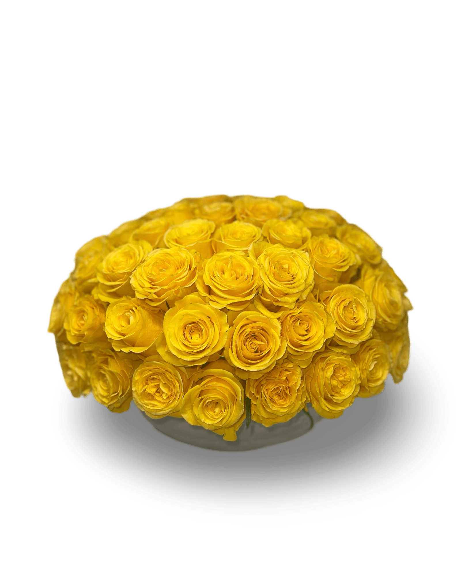 Simply Rose - Petal Relations LA