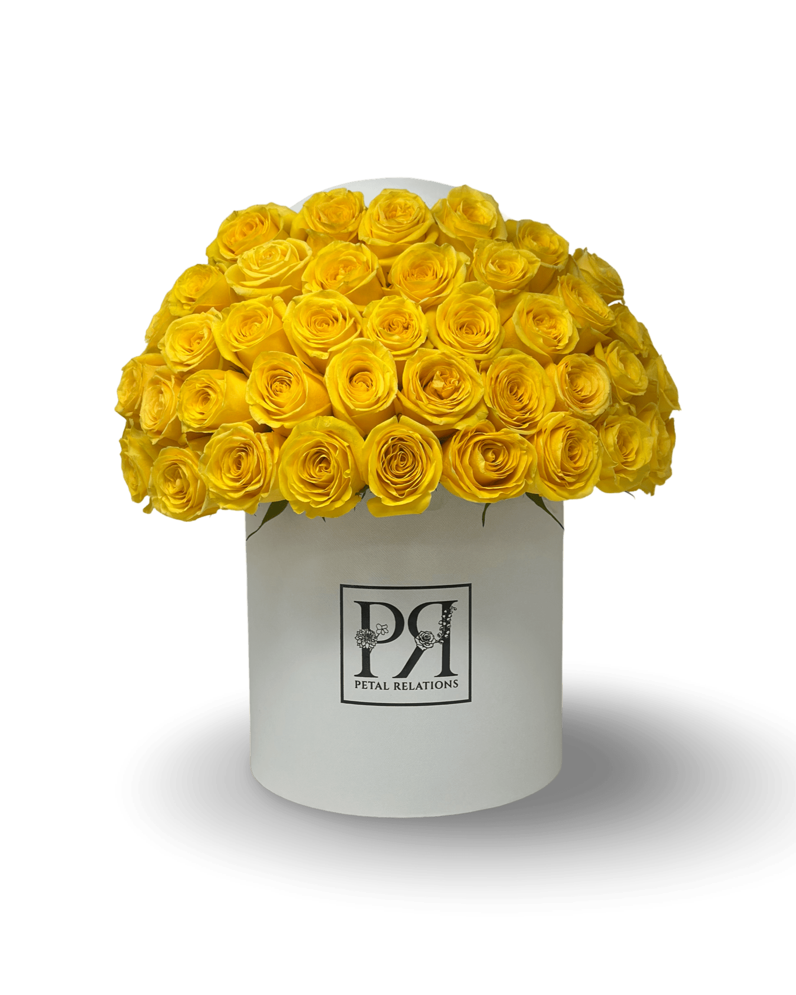Simply Rose in a Box - Petal Relations LA
