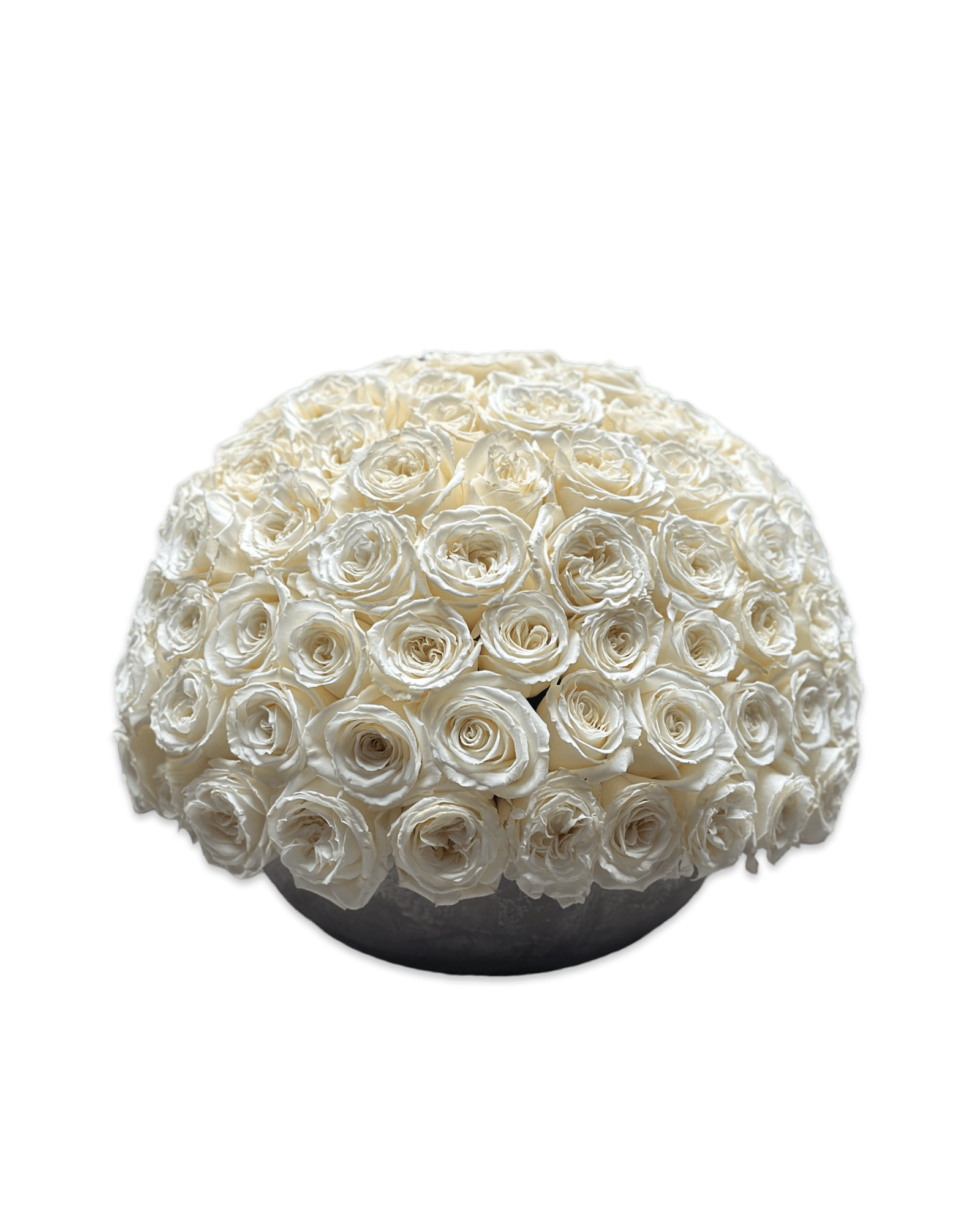 Simply Rose in White - Petal Relations LA