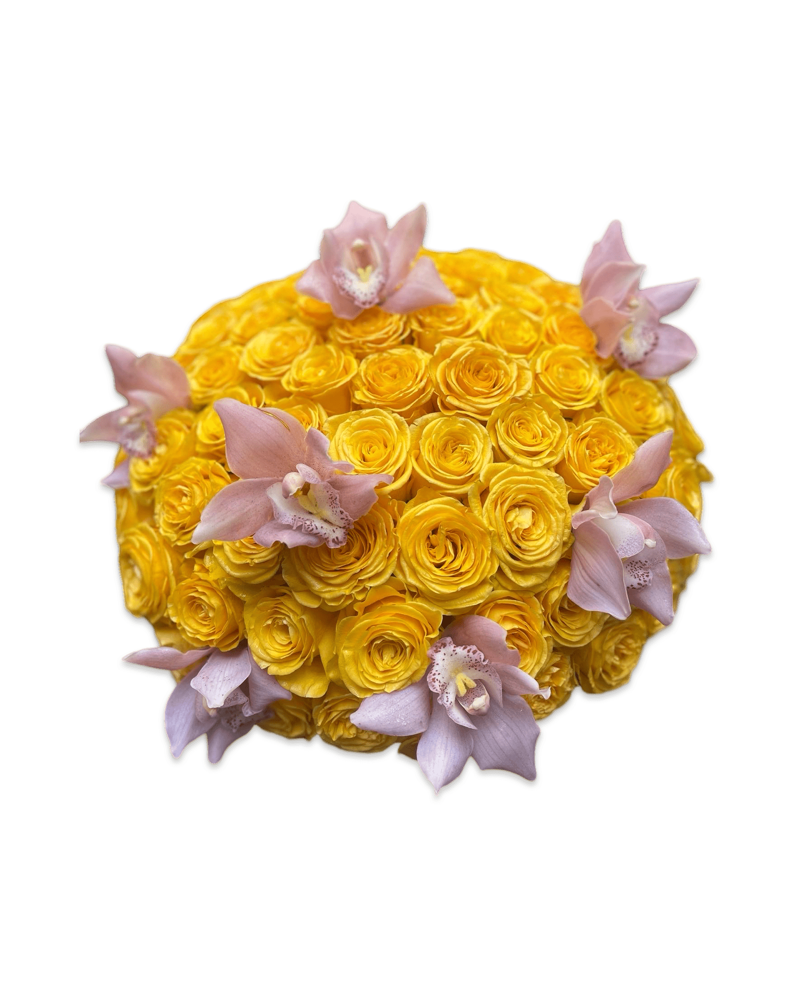 Simply Rose with Cymbidium Orchids - Petal Relations LA