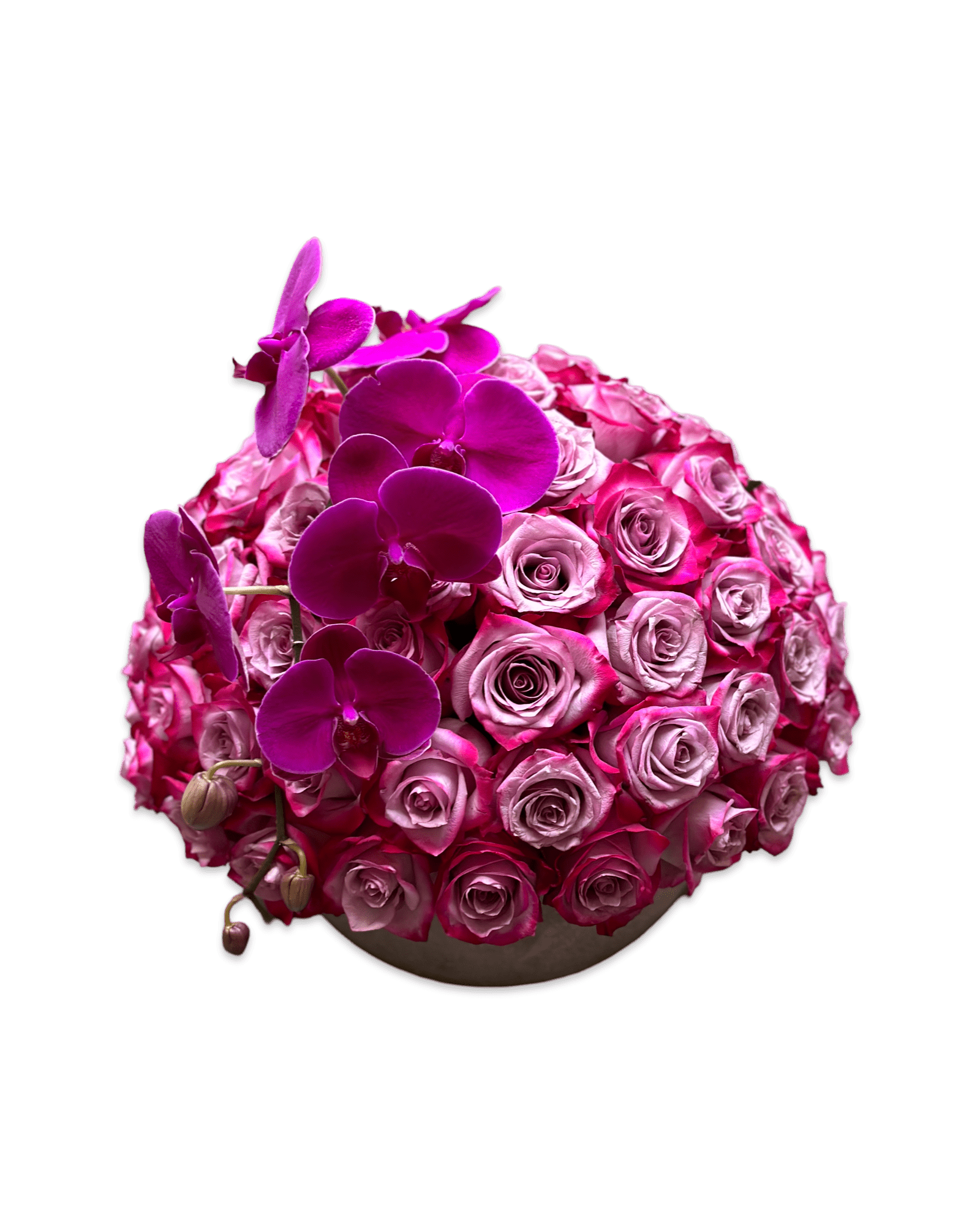 Simply Rose with Phalaenopsis Orchid - Petal Relations LA