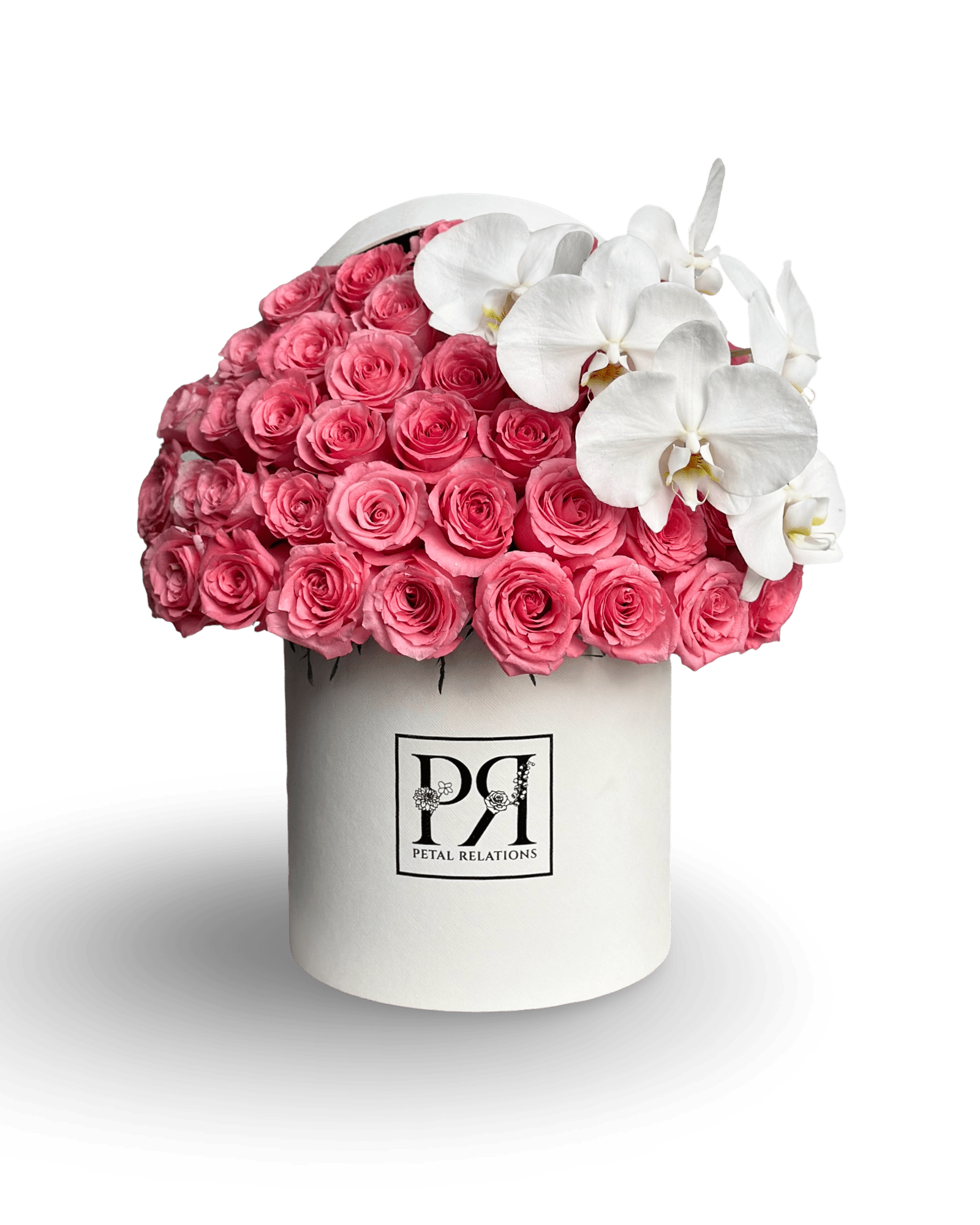 Simply Rose with Phalaenopsis Orchid in a Box - Petal Relations LA