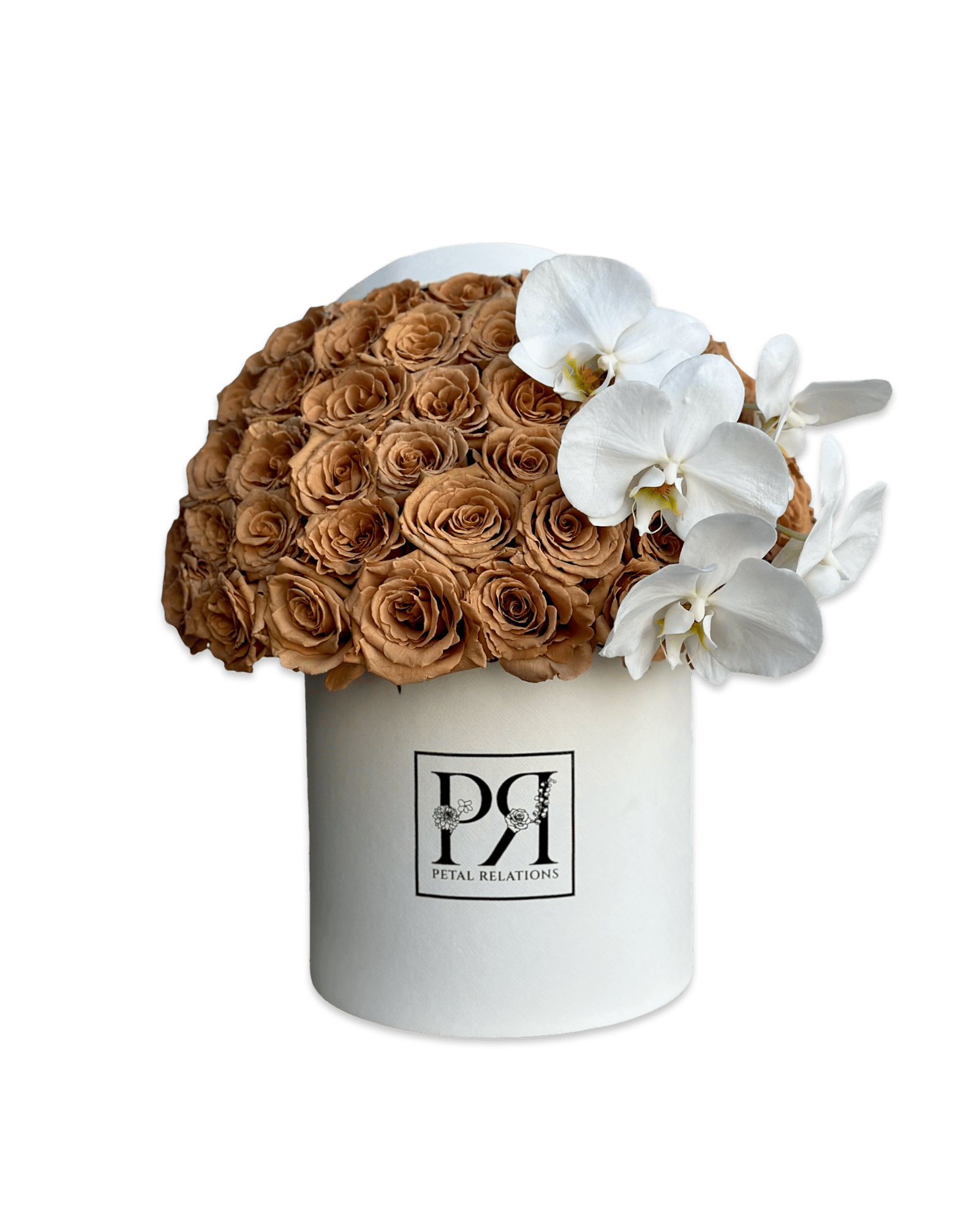 Simply Rose with Phalaenopsis Orchid in a Box - Petal Relations LA