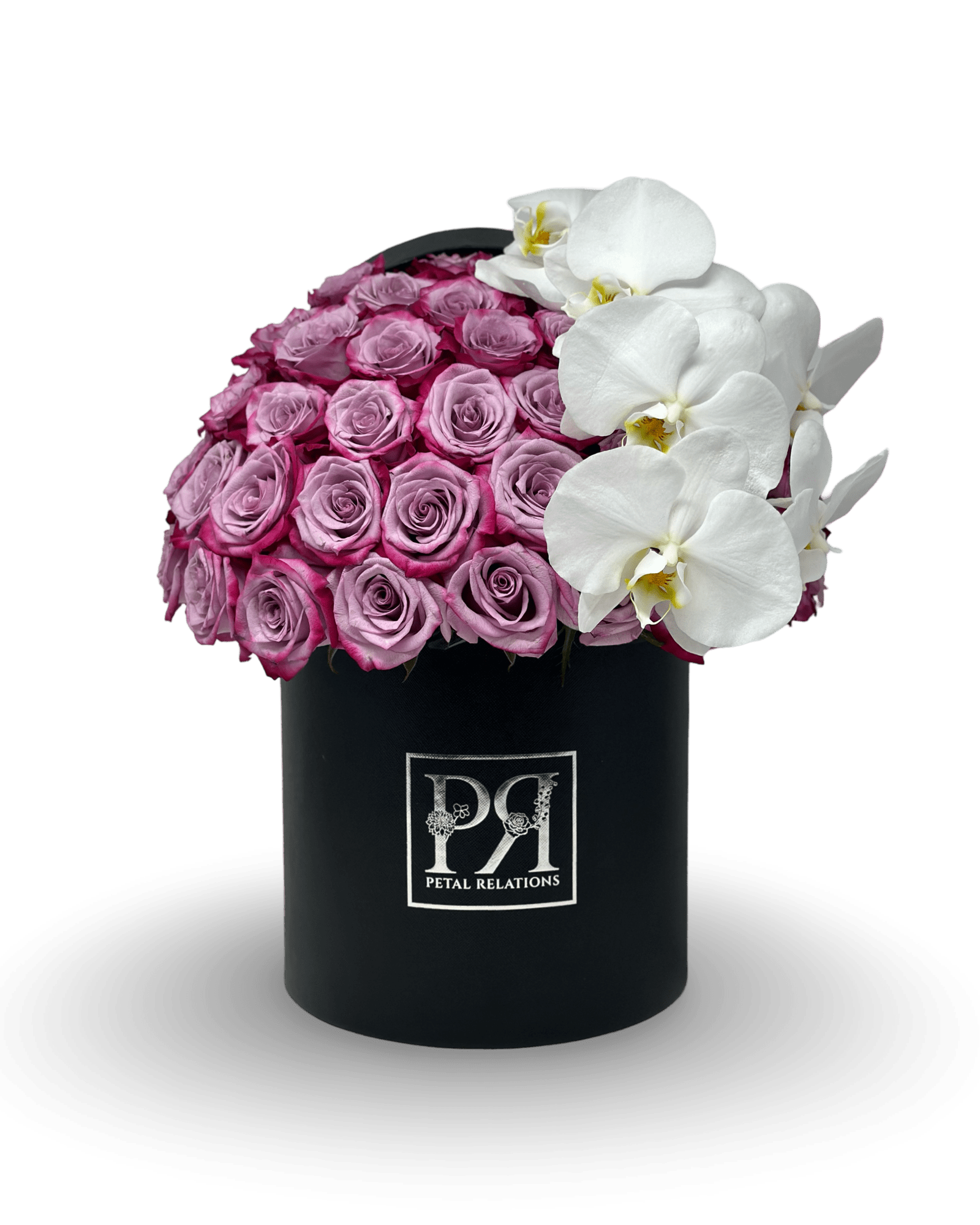 Simply Rose with Phalaenopsis Orchid in a Box - Petal Relations LA