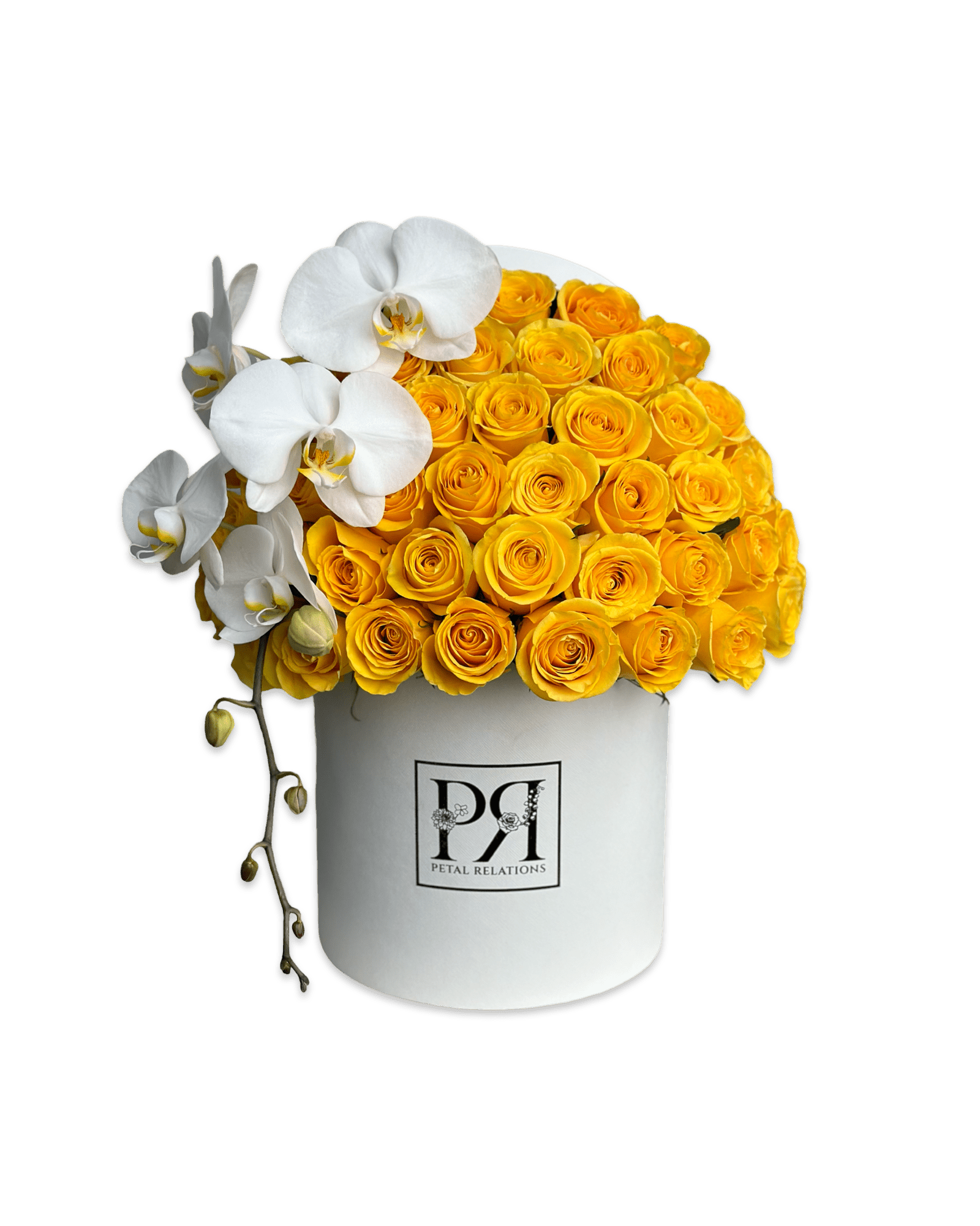 Simply Rose with Phalaenopsis Orchid in a Box - Petal Relations LA
