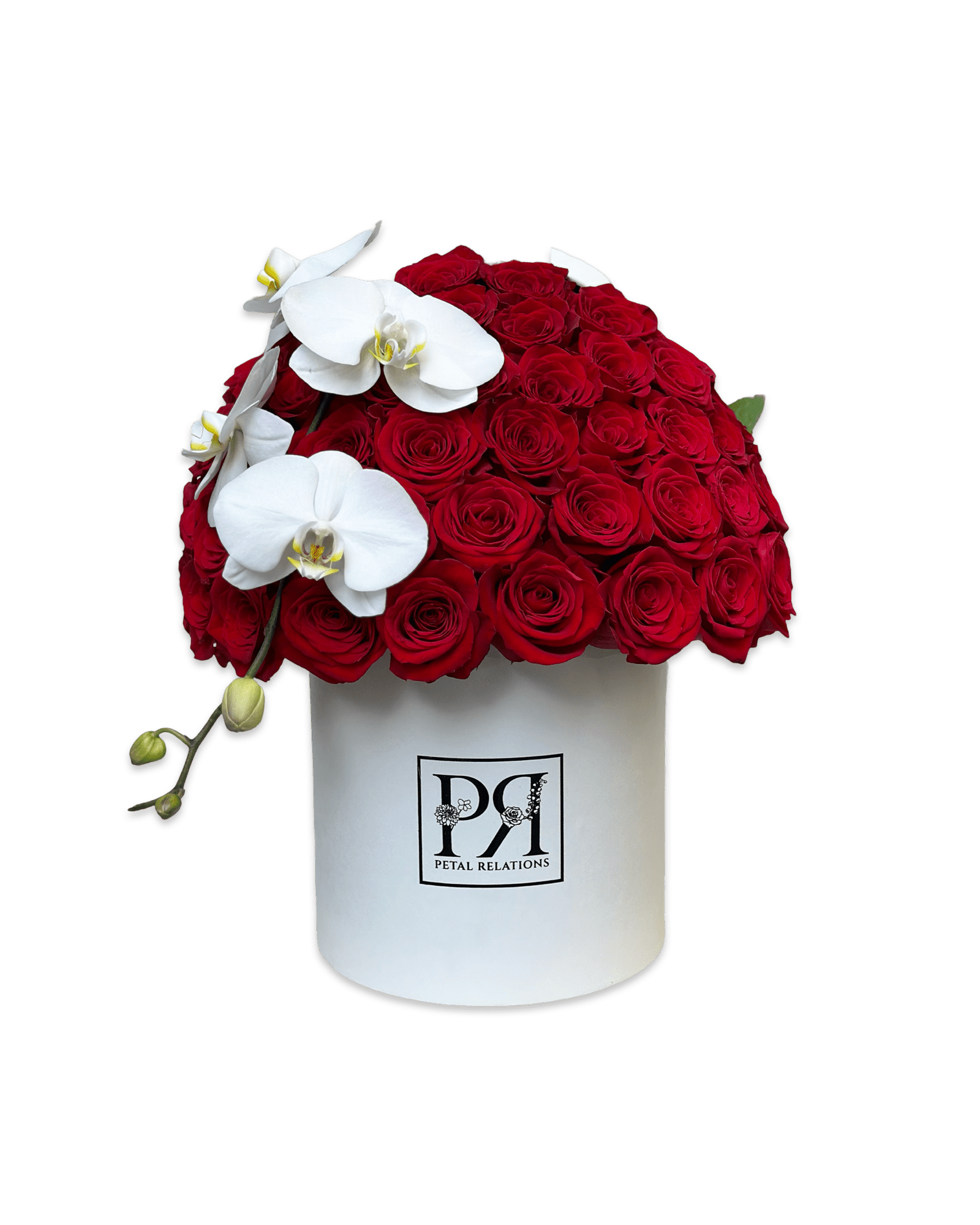 Simply Rose with Phalaenopsis Orchid in a Box - Petal Relations LA