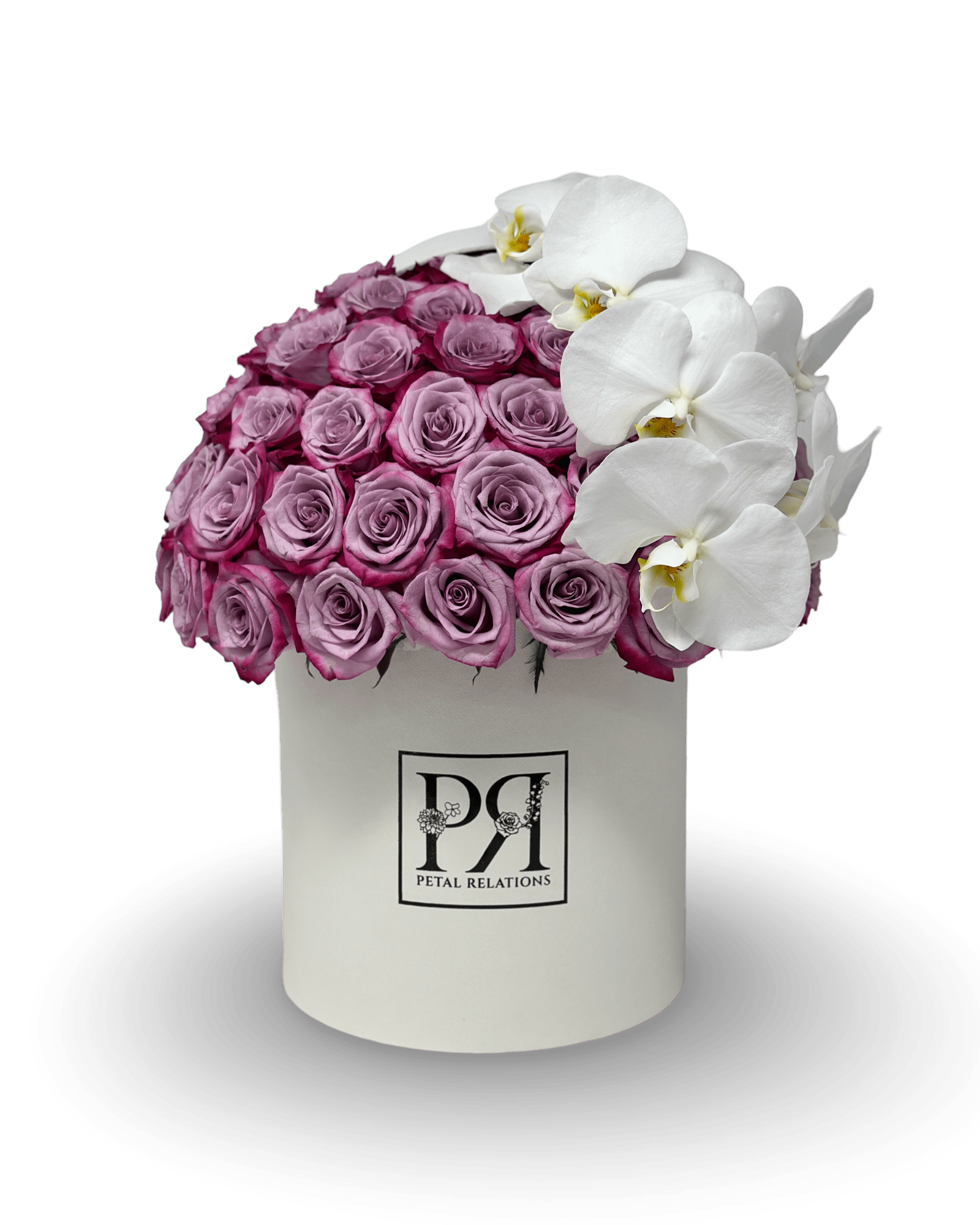 Simply Rose with Phalaenopsis Orchid in a Box - Petal Relations LA