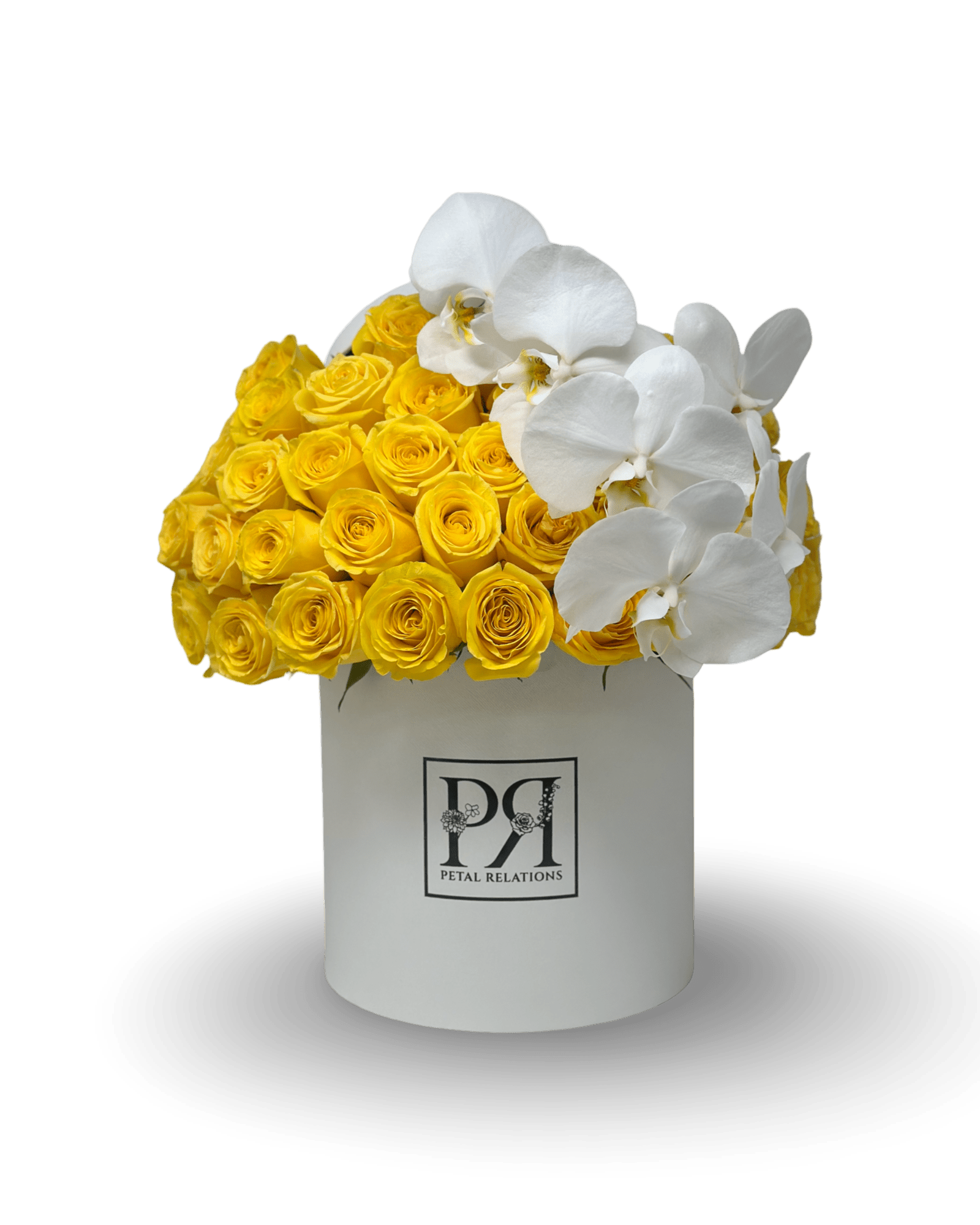 Simply Rose with Phalaenopsis Orchid in a Box - Petal Relations LA