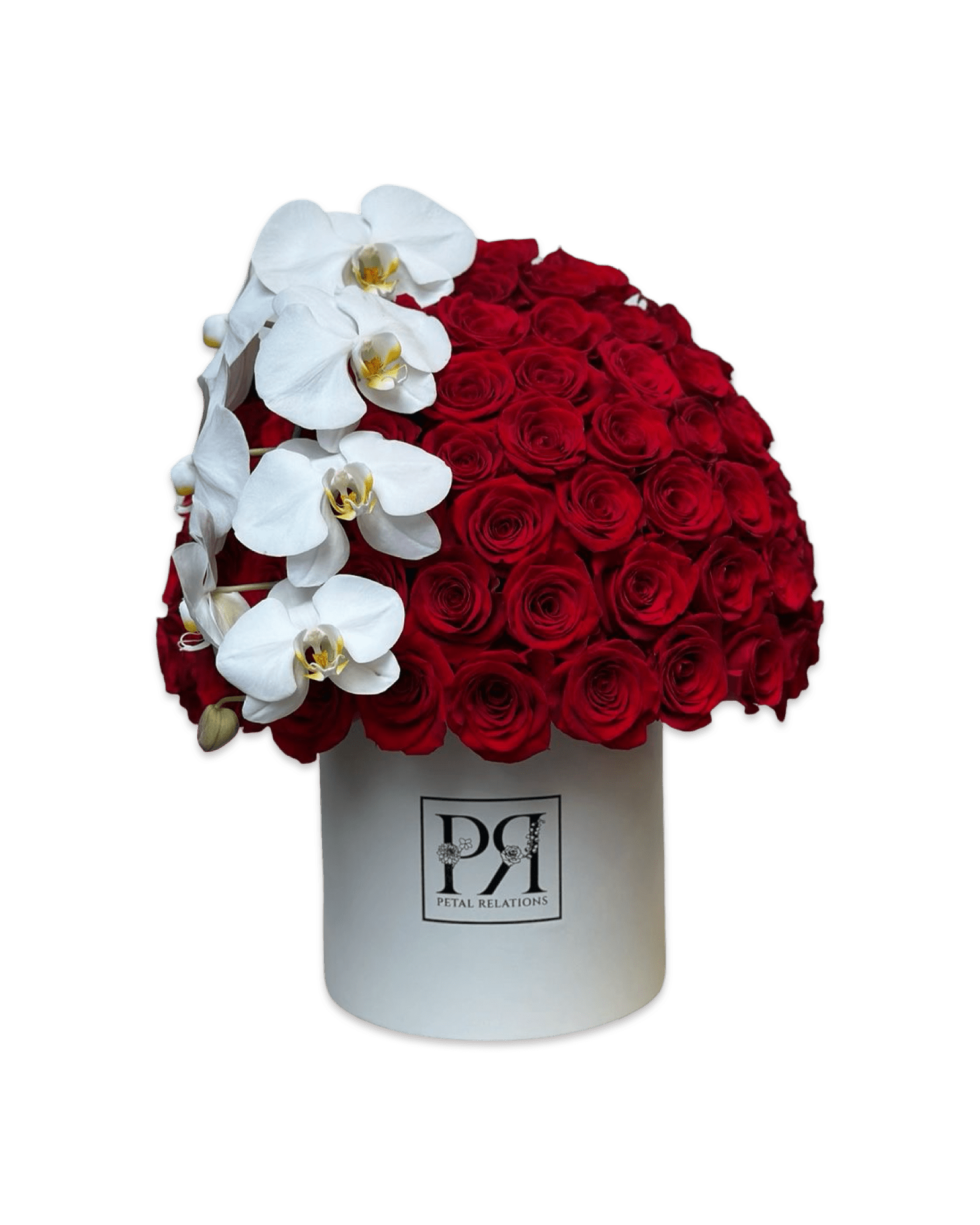 Simply Rose with Phalaenopsis Orchid in a Box - Petal Relations LA