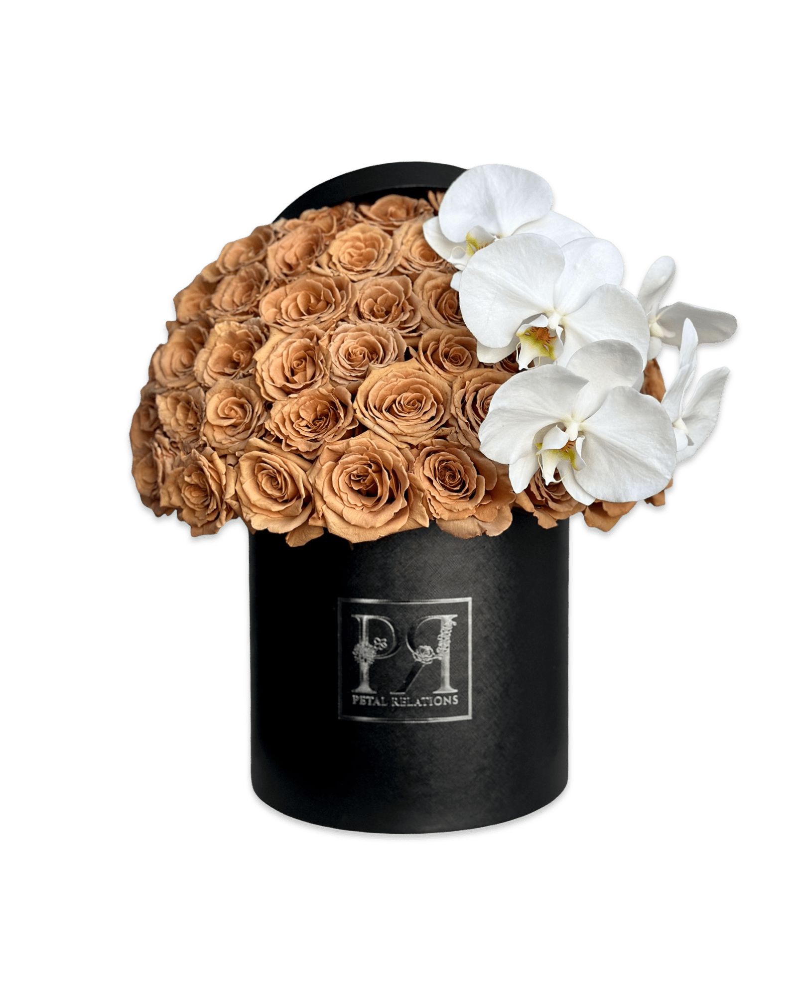 Simply Rose with Phalaenopsis Orchid in a Box - Petal Relations LA