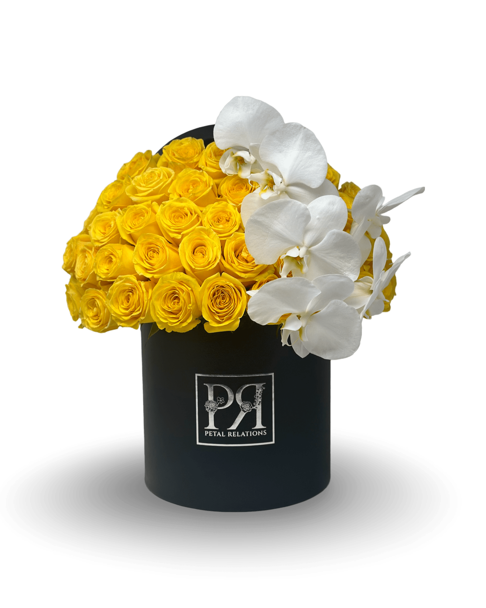 Simply Rose with Phalaenopsis Orchid in a Box - Petal Relations LA