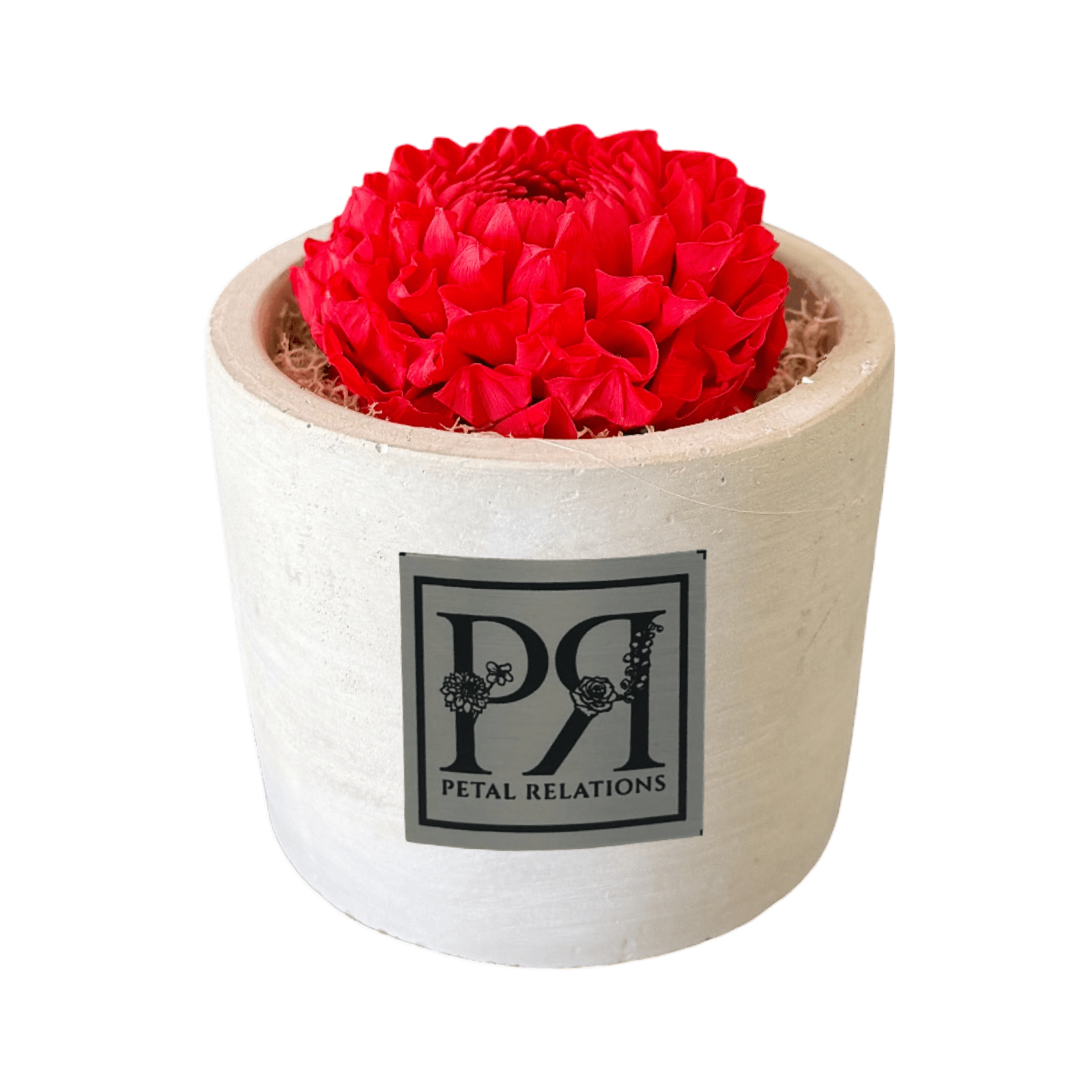 Single - Forever Dahlia - Petal Relations LA
