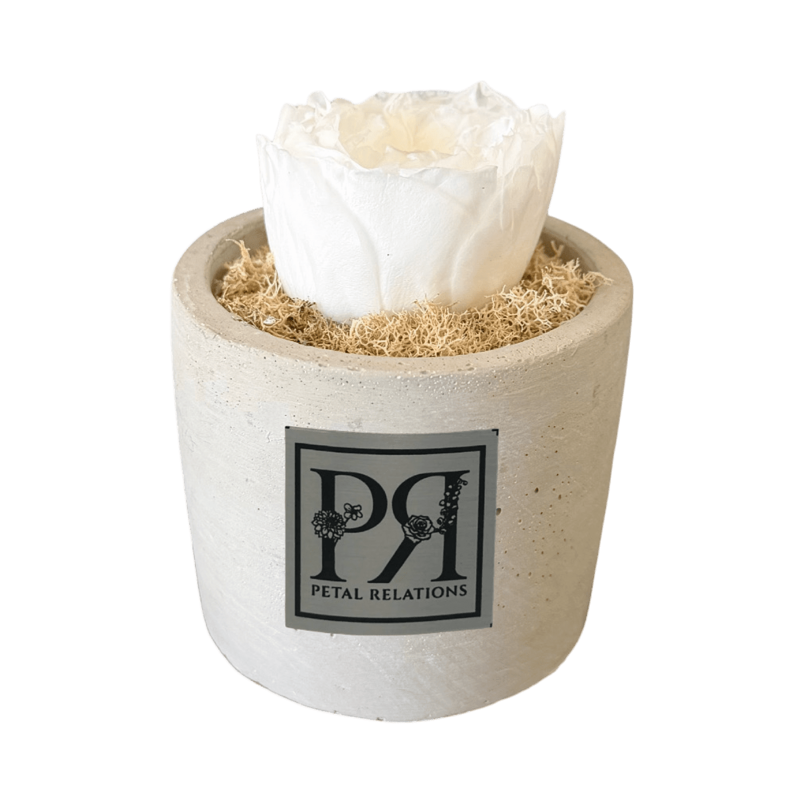 Single - Forever Garden Rose - Petal Relations LA