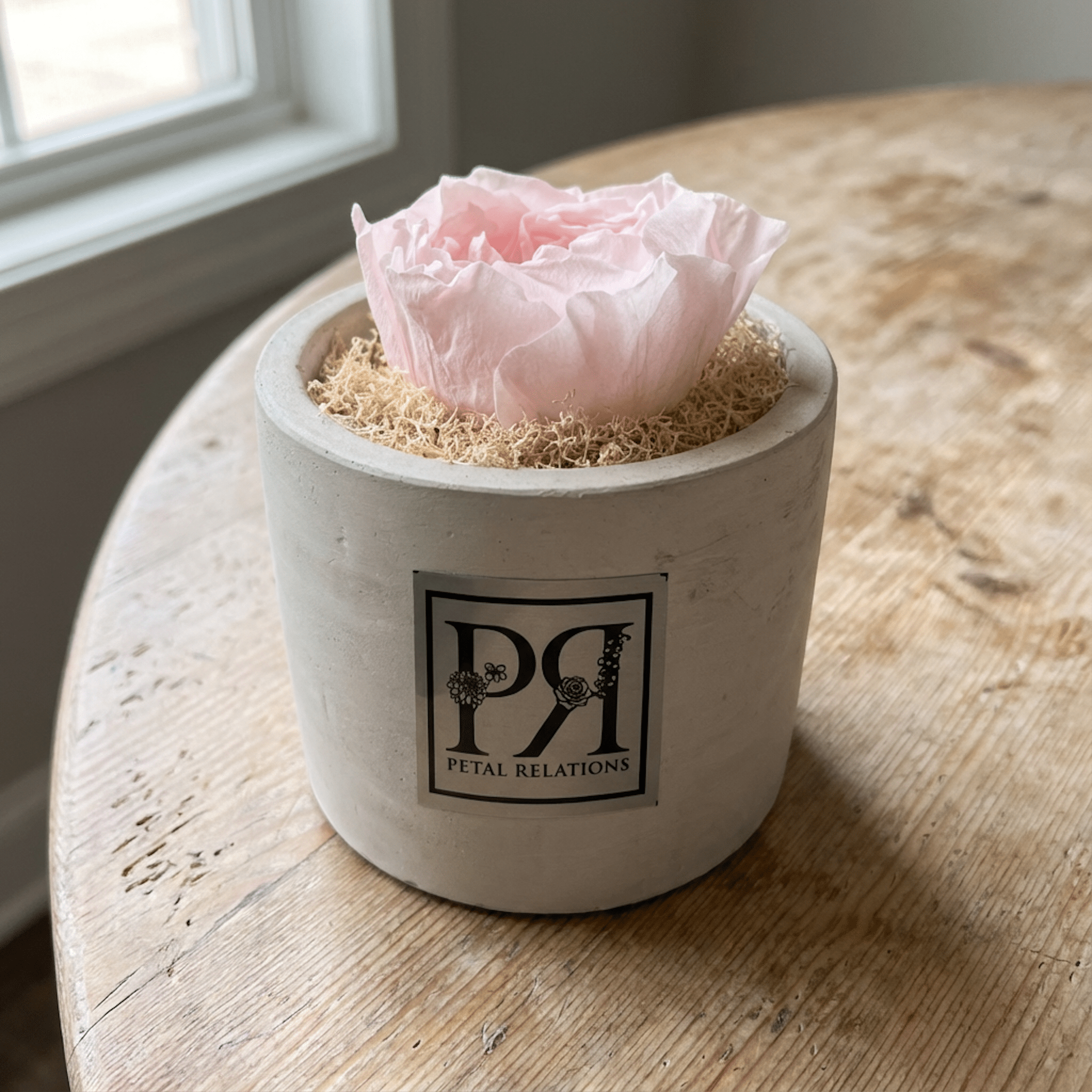 Single - Forever Garden Rose - Petal Relations LA