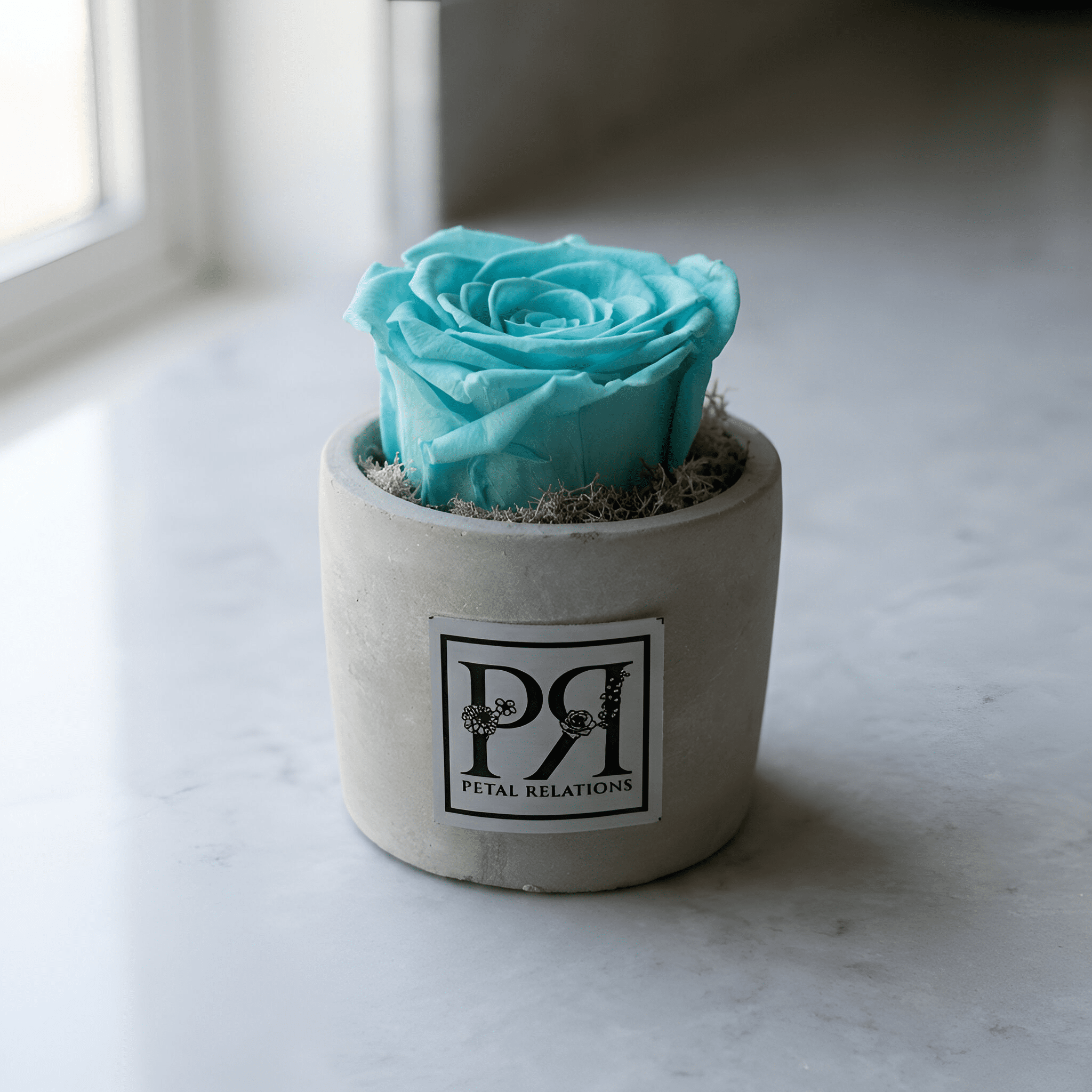 Single - Forever Rose - Petal Relations LA