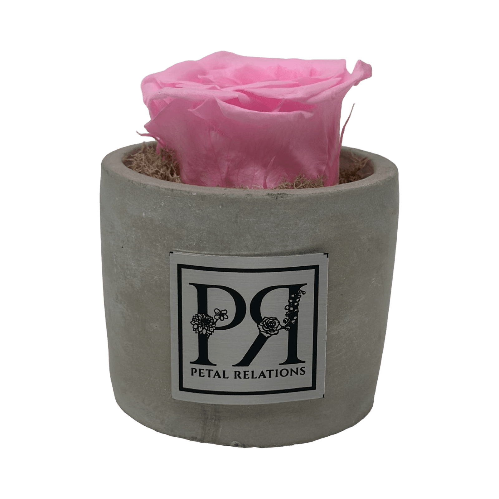 Single - Forever Rose - Petal Relations LA