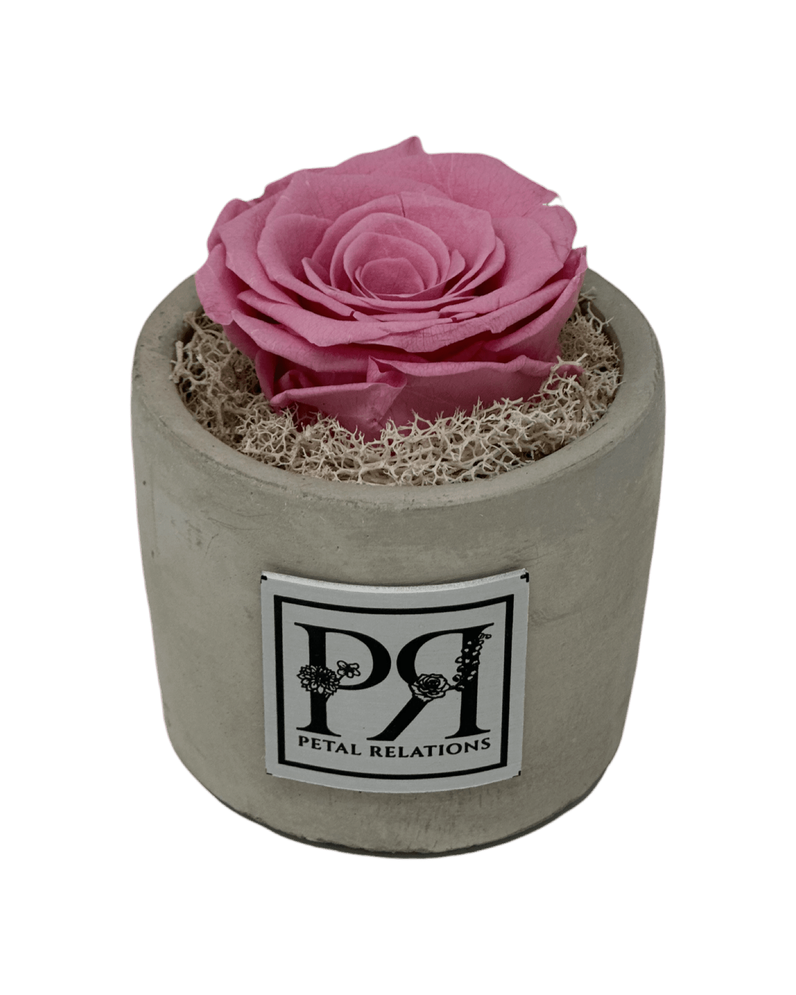 Single - Forever Rose - Petal Relations LA