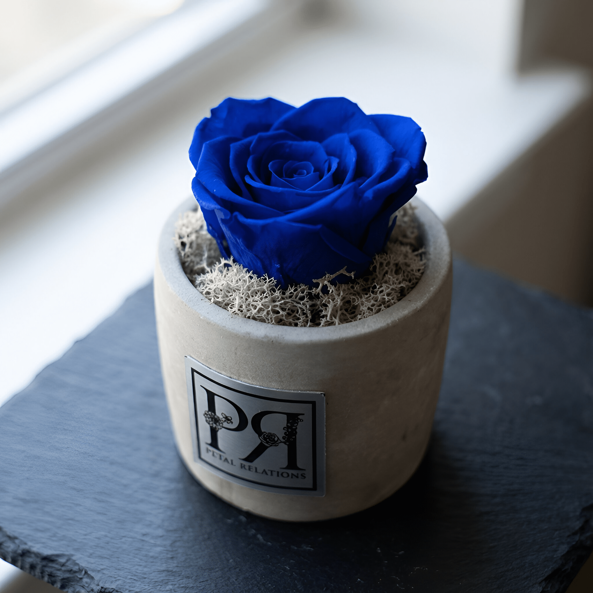 Single - Forever Rose - Petal Relations LA