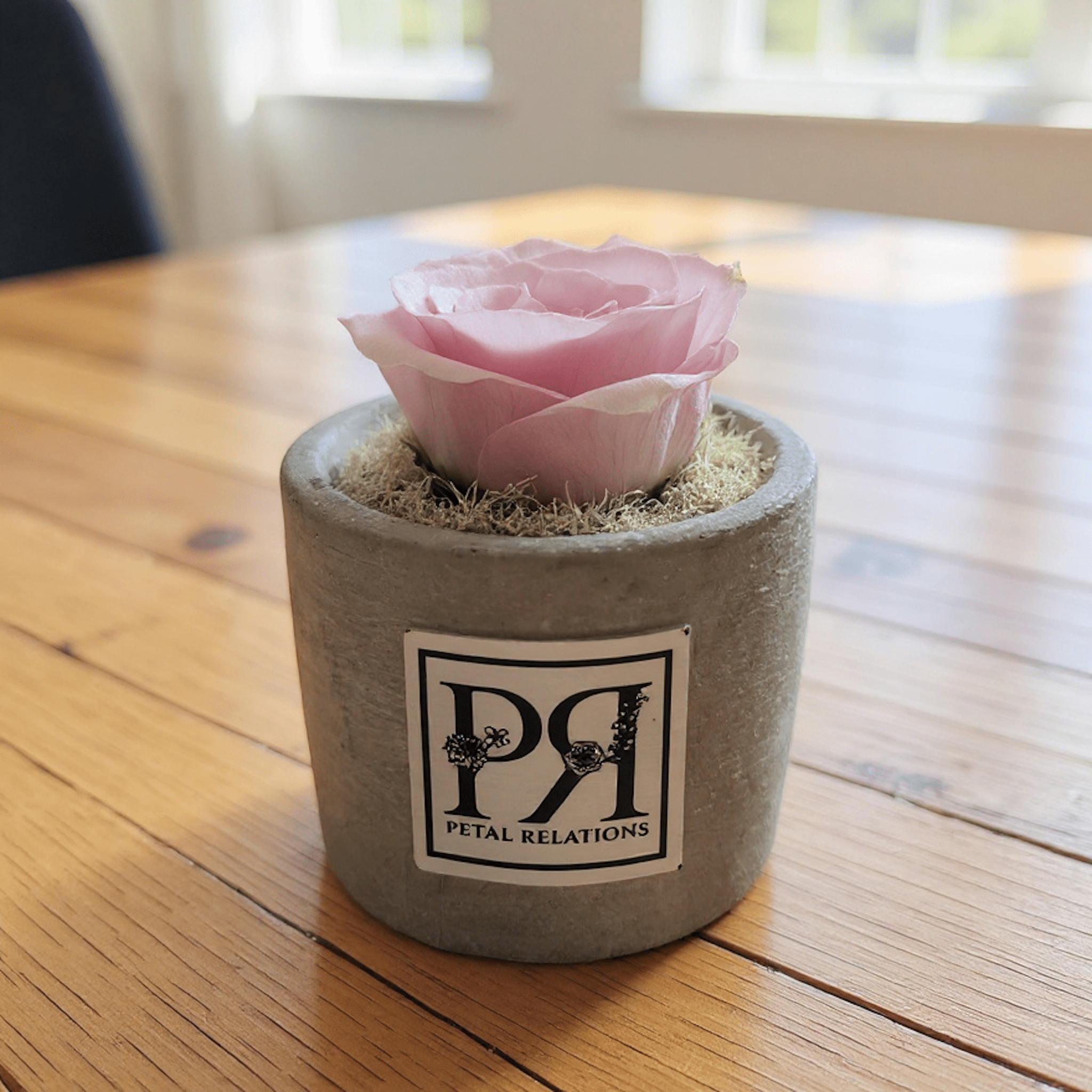 Single - Forever Rose - Petal Relations LA
