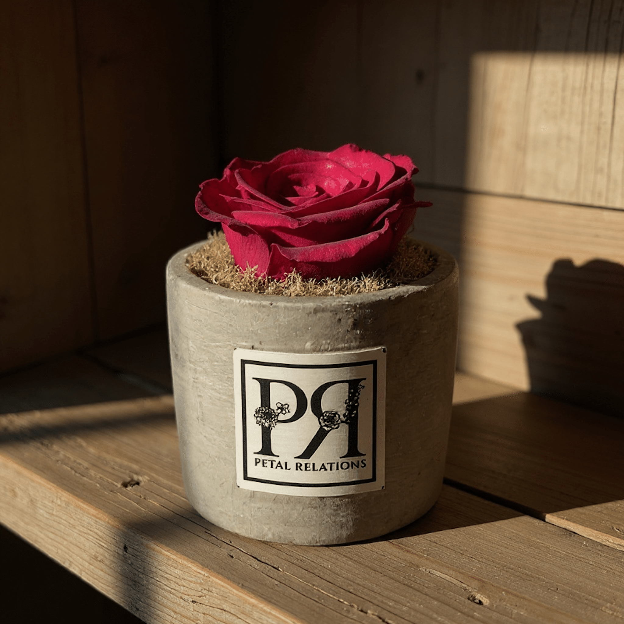 Single - Forever Rose - Petal Relations LA