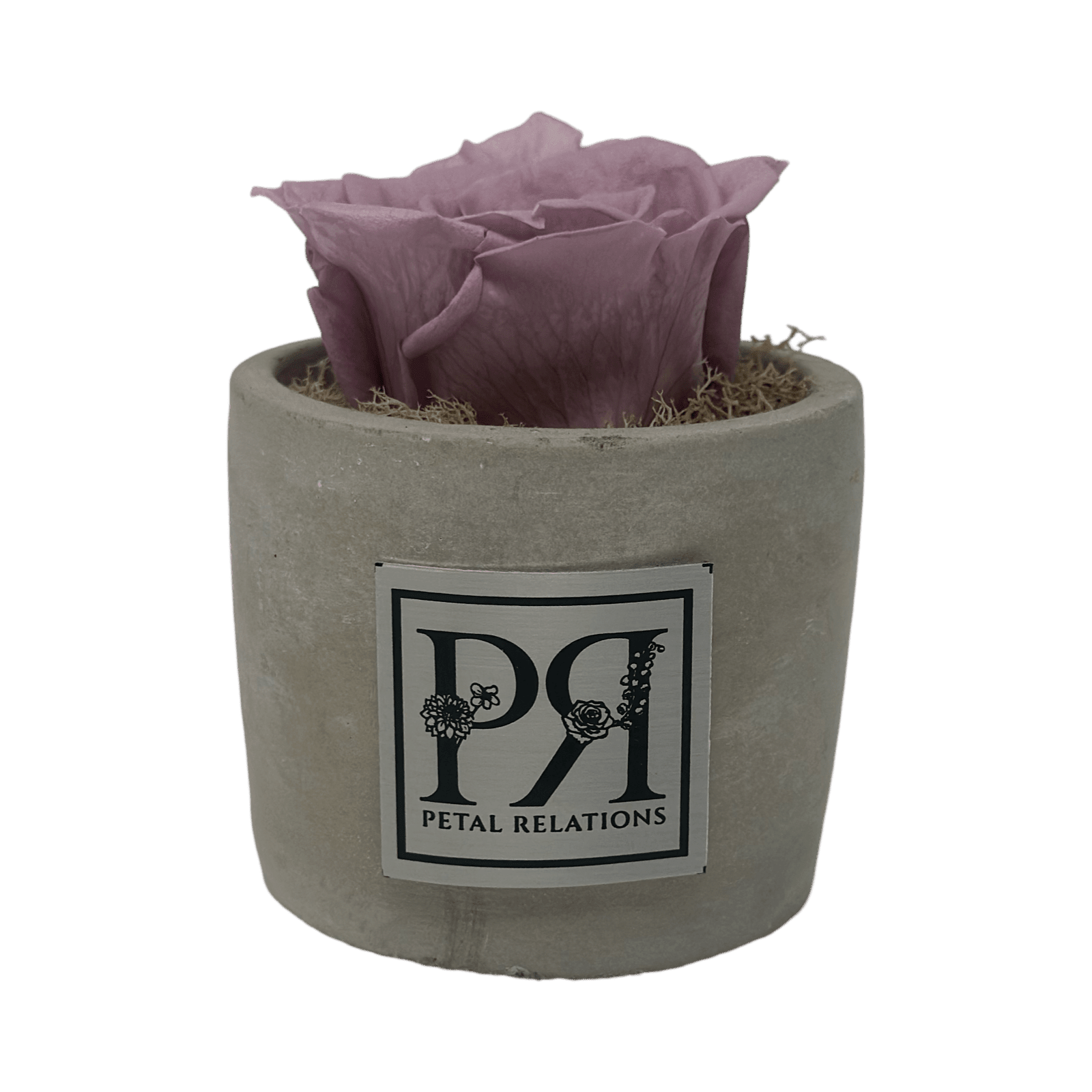 Single - Forever Rose - Petal Relations LA