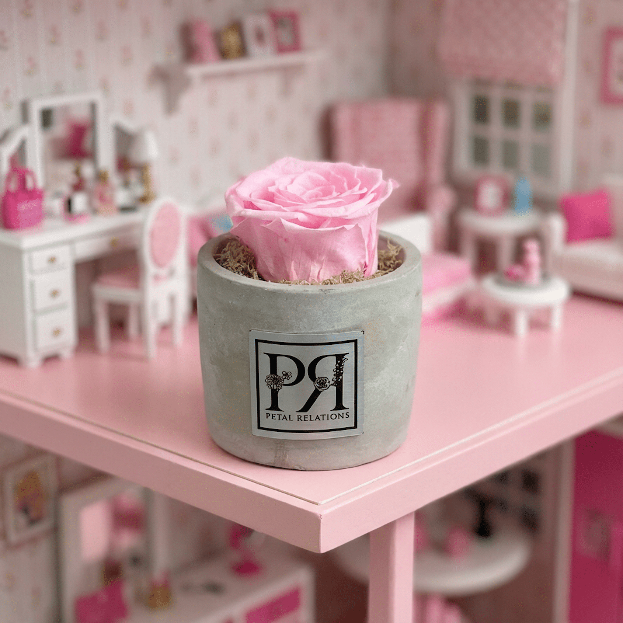 Single - Forever Rose - Petal Relations LA
