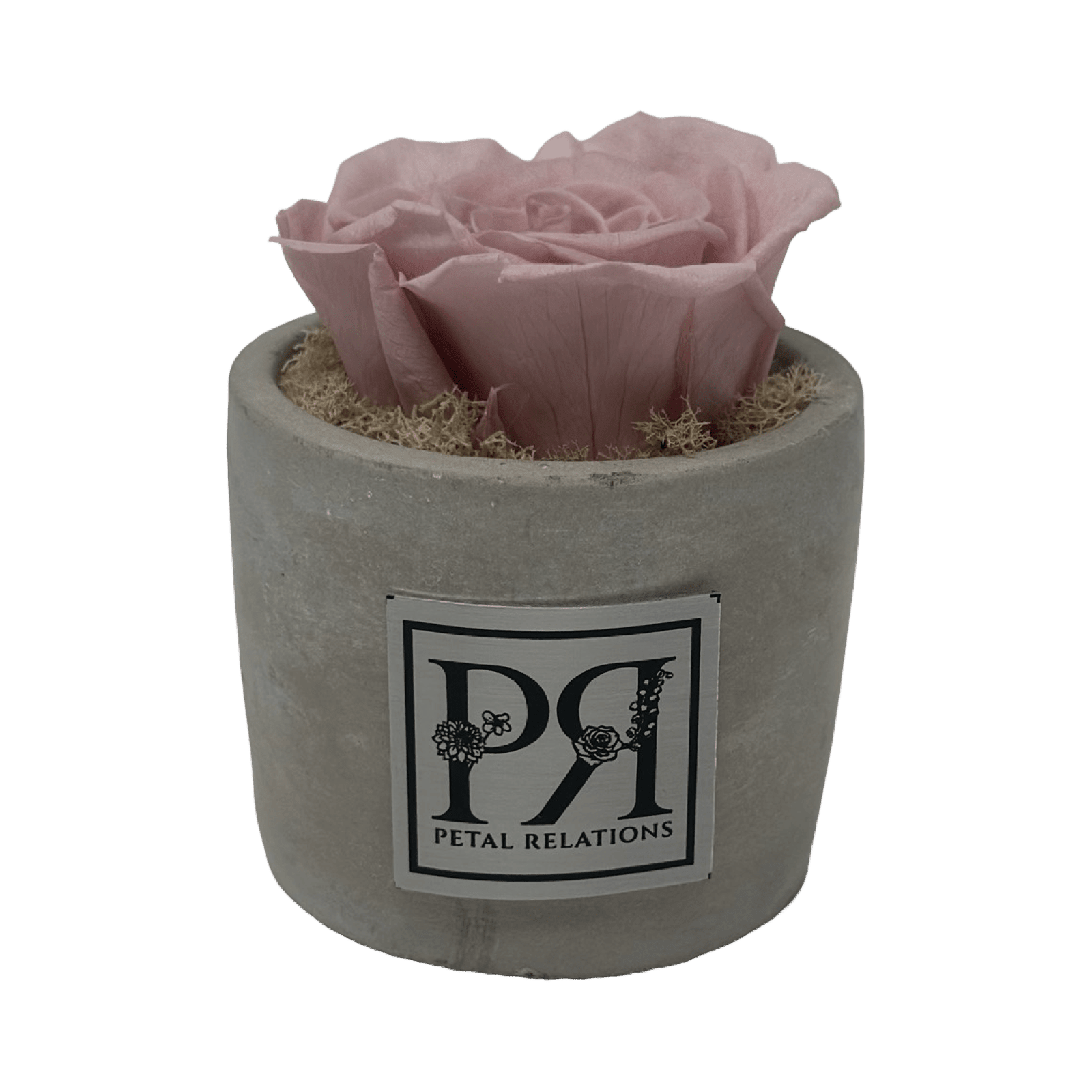 Single - Forever Rose - Petal Relations LA