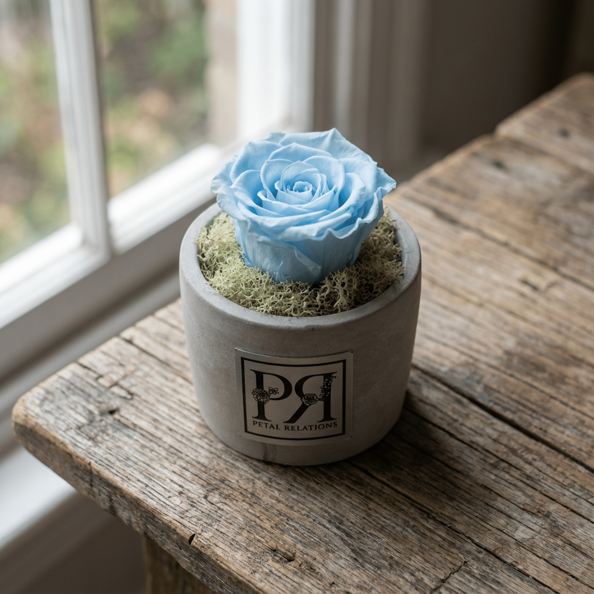 Single - Forever Rose - Petal Relations LA