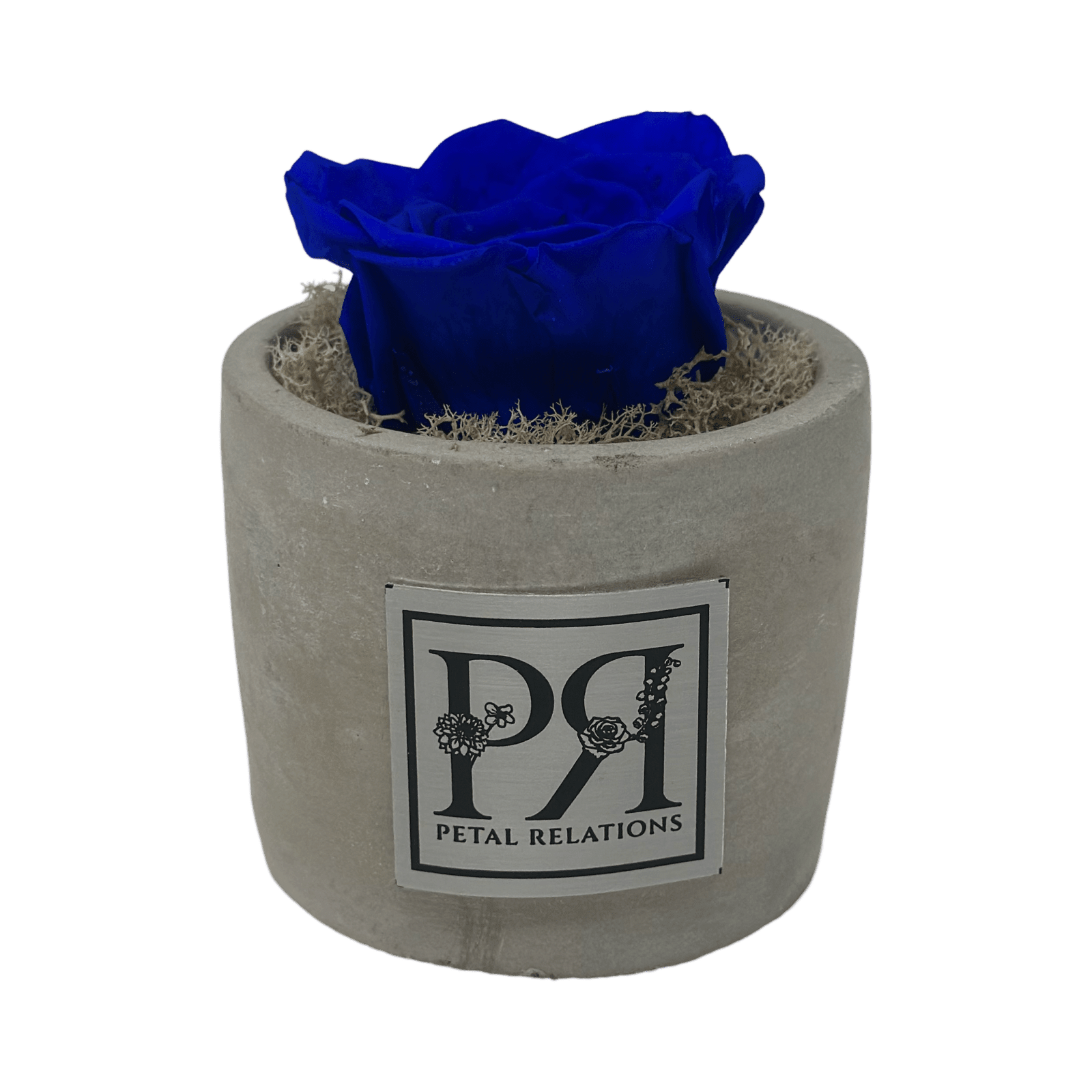 Single - Forever Rose - Petal Relations LA