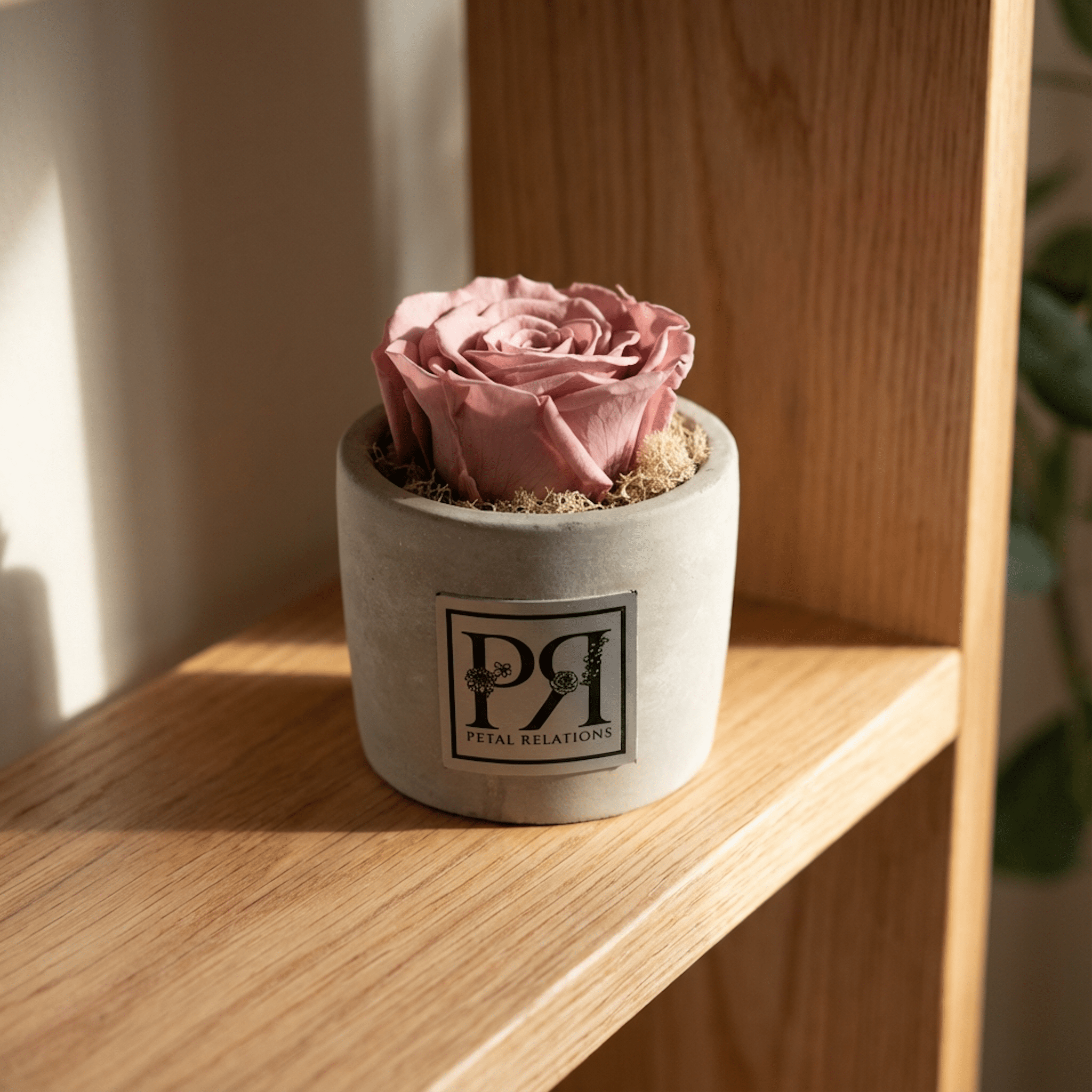 Single - Forever Rose - Petal Relations LA