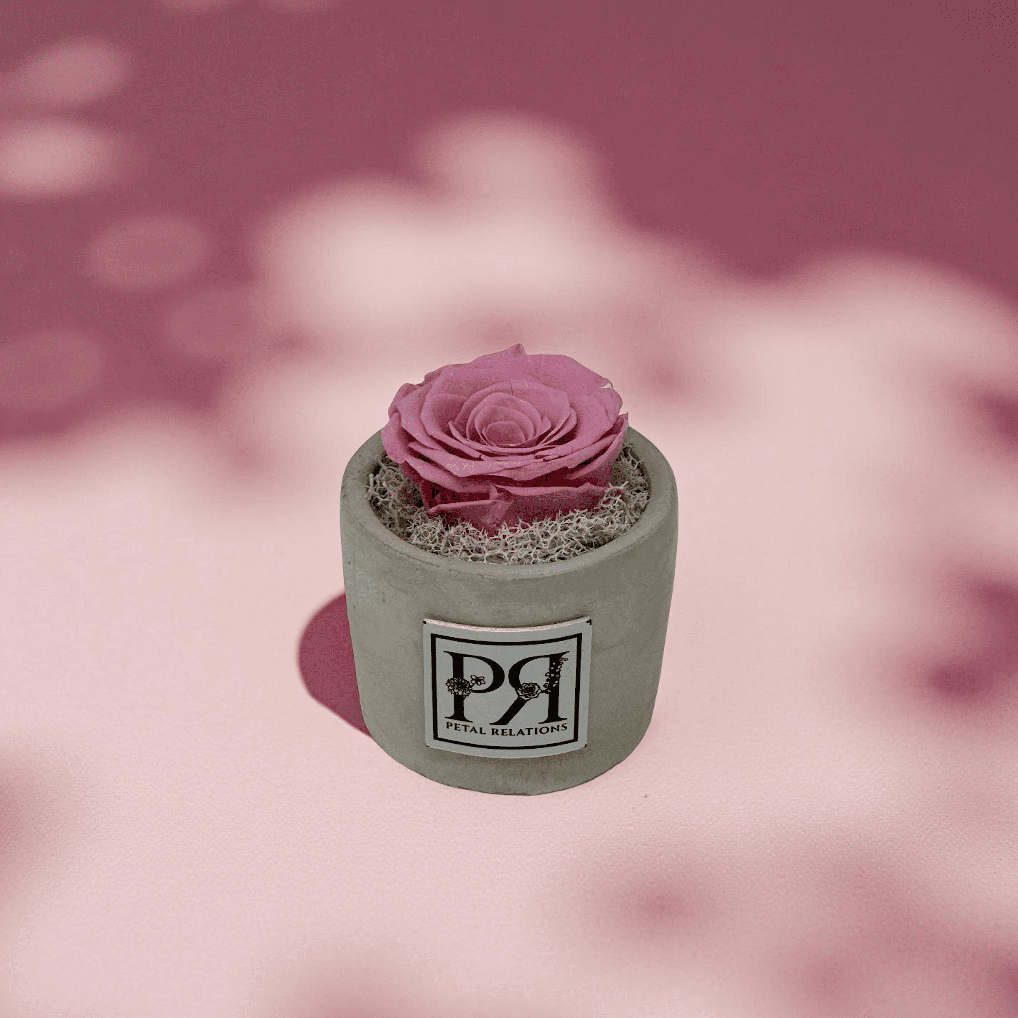 Single - Forever Rose - Petal Relations LA